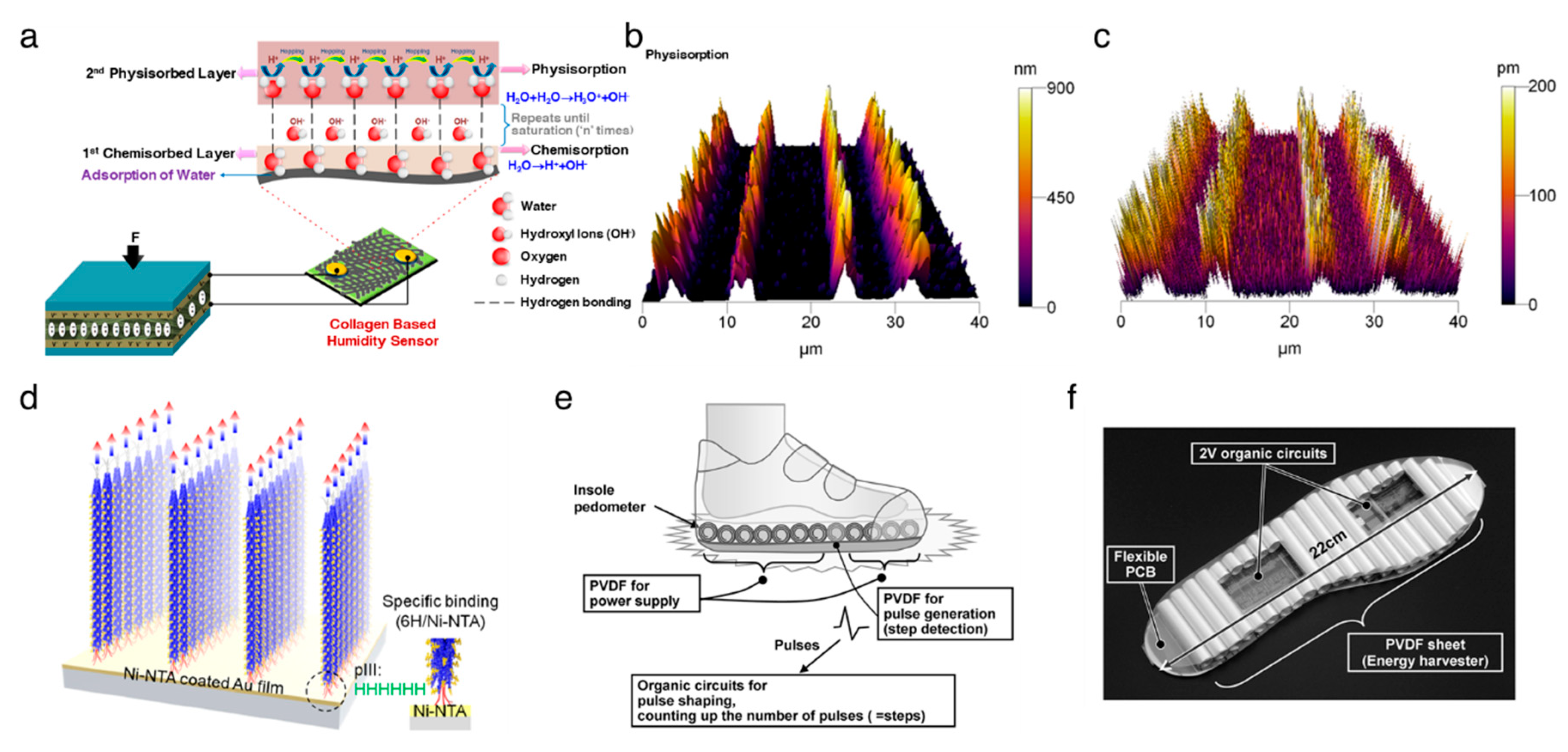 Nanomaterials 10 00123 g002