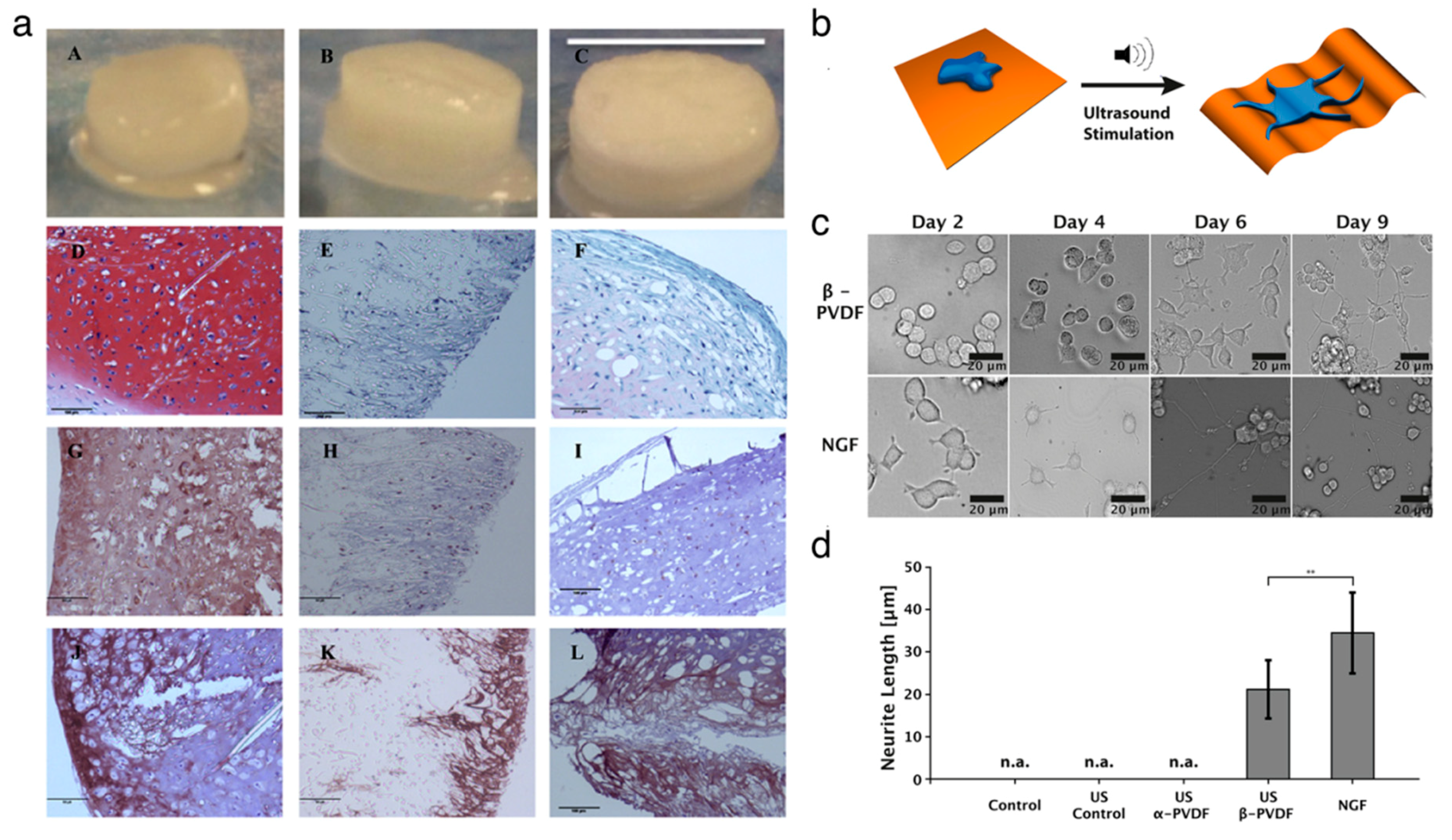 Nanomaterials 10 00123 g004