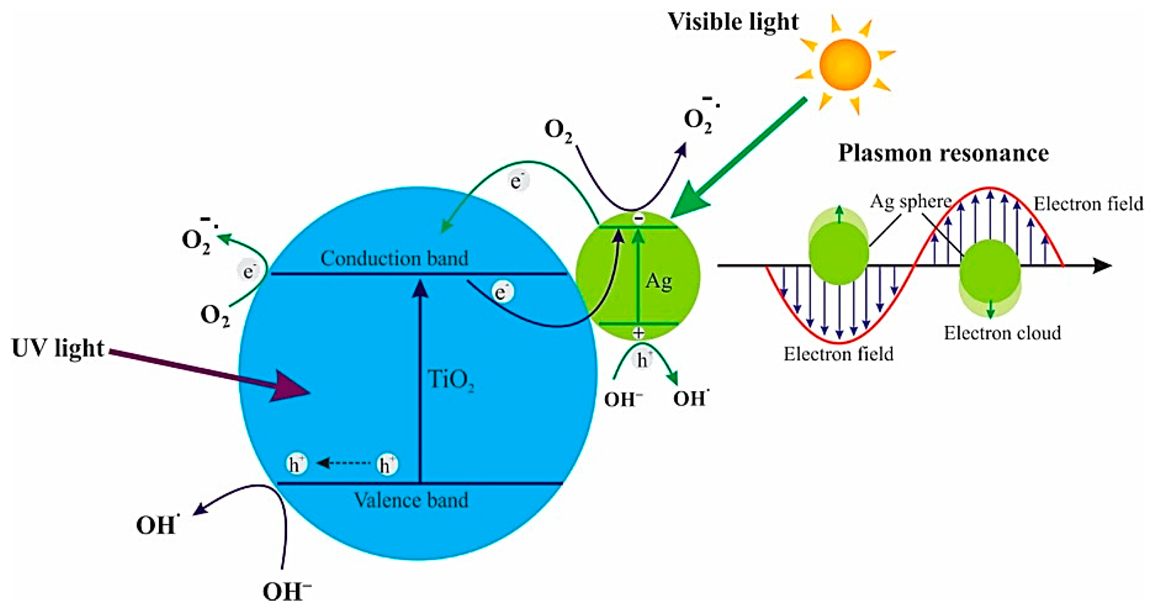 Nanomaterials 10 00124 g005
