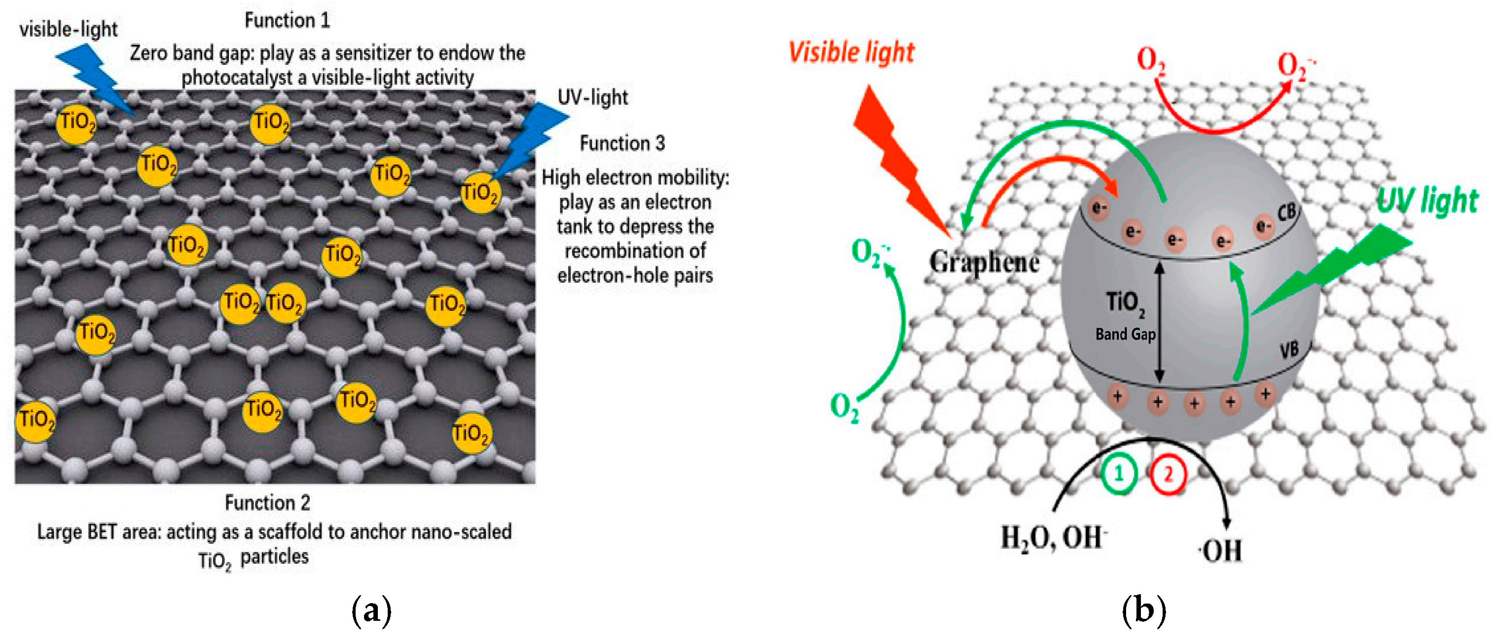 Nanomaterials 10 00124 g006