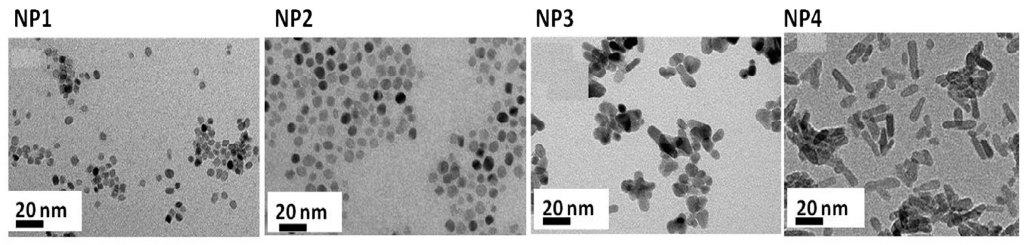 Nanomaterials 10 00124 g009