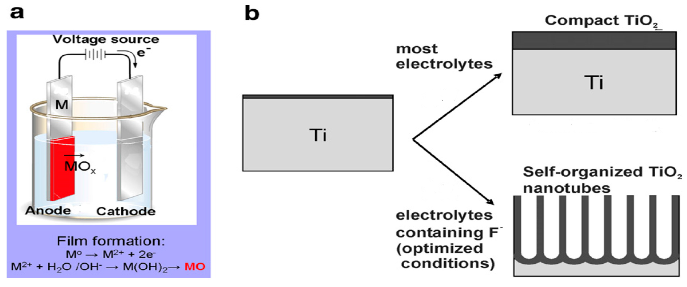 Nanomaterials 10 00124 g011