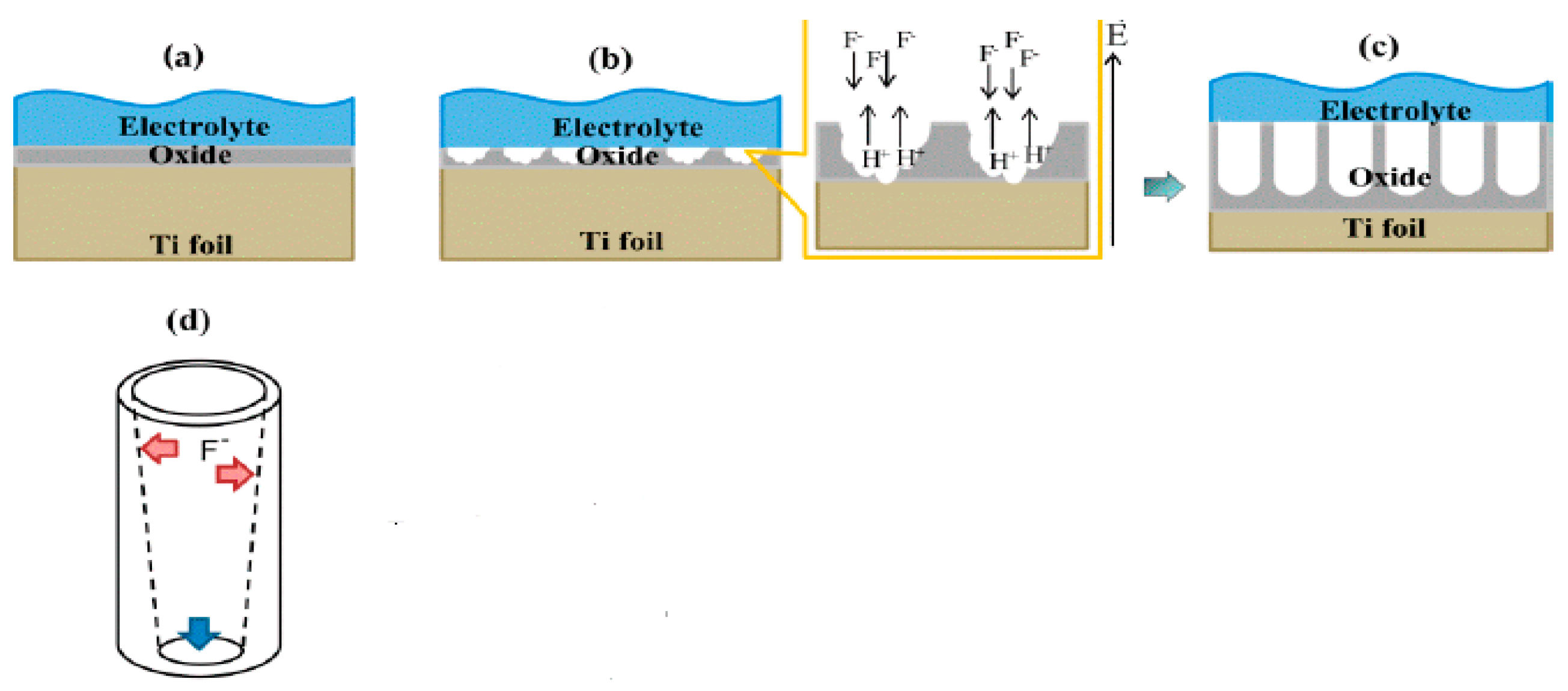 Nanomaterials 10 00124 g012