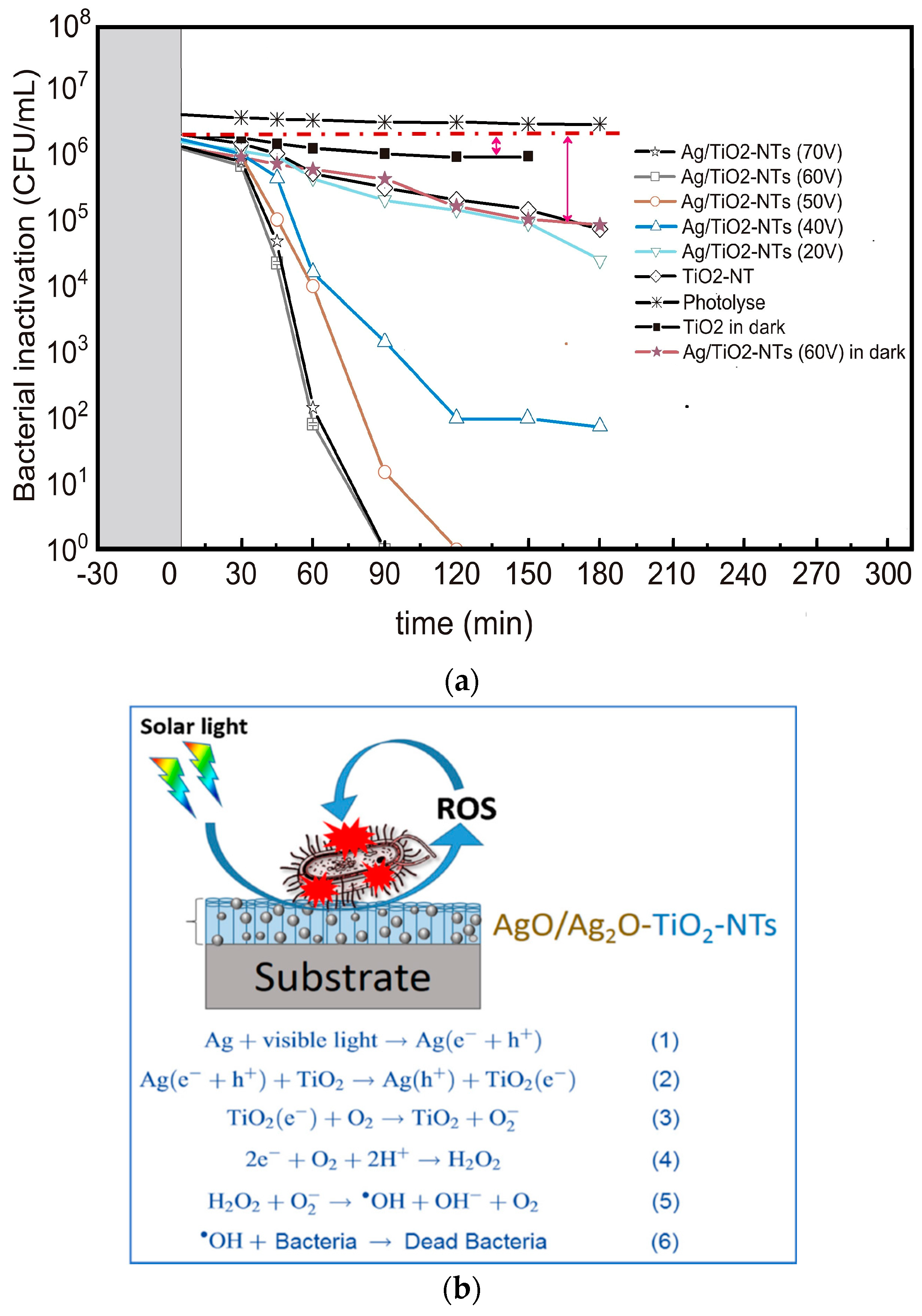 Nanomaterials 10 00124 g020