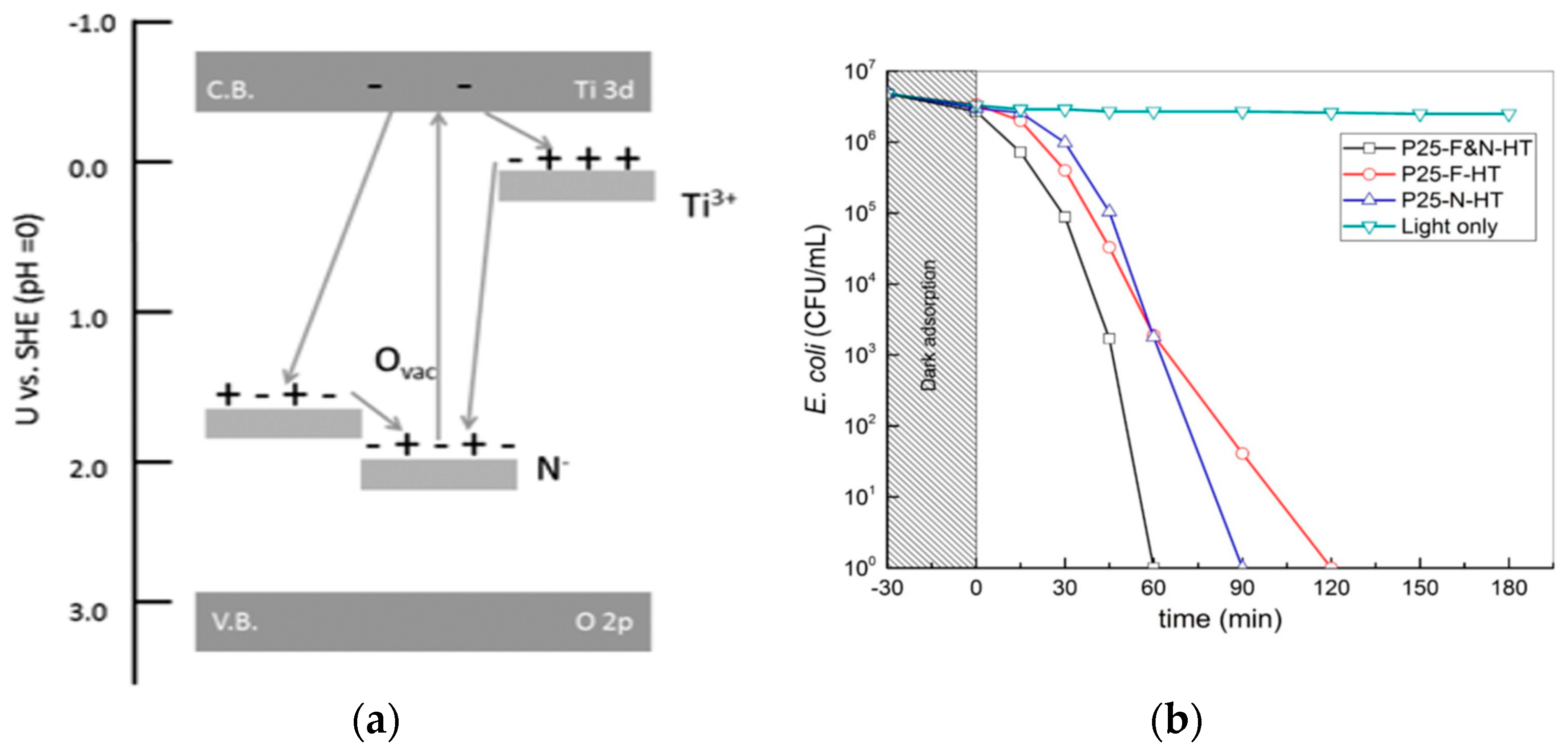 Nanomaterials 10 00124 g026