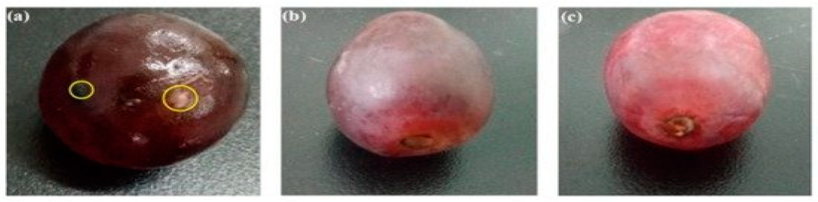 Nanomaterials 10 00124 g030