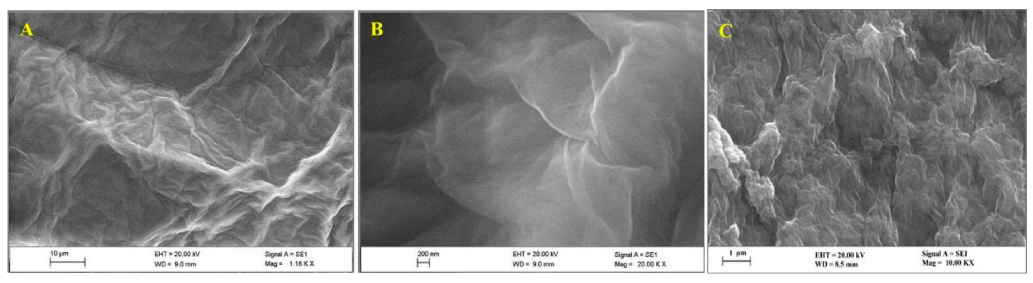 Nanomaterials 10 00125 g001