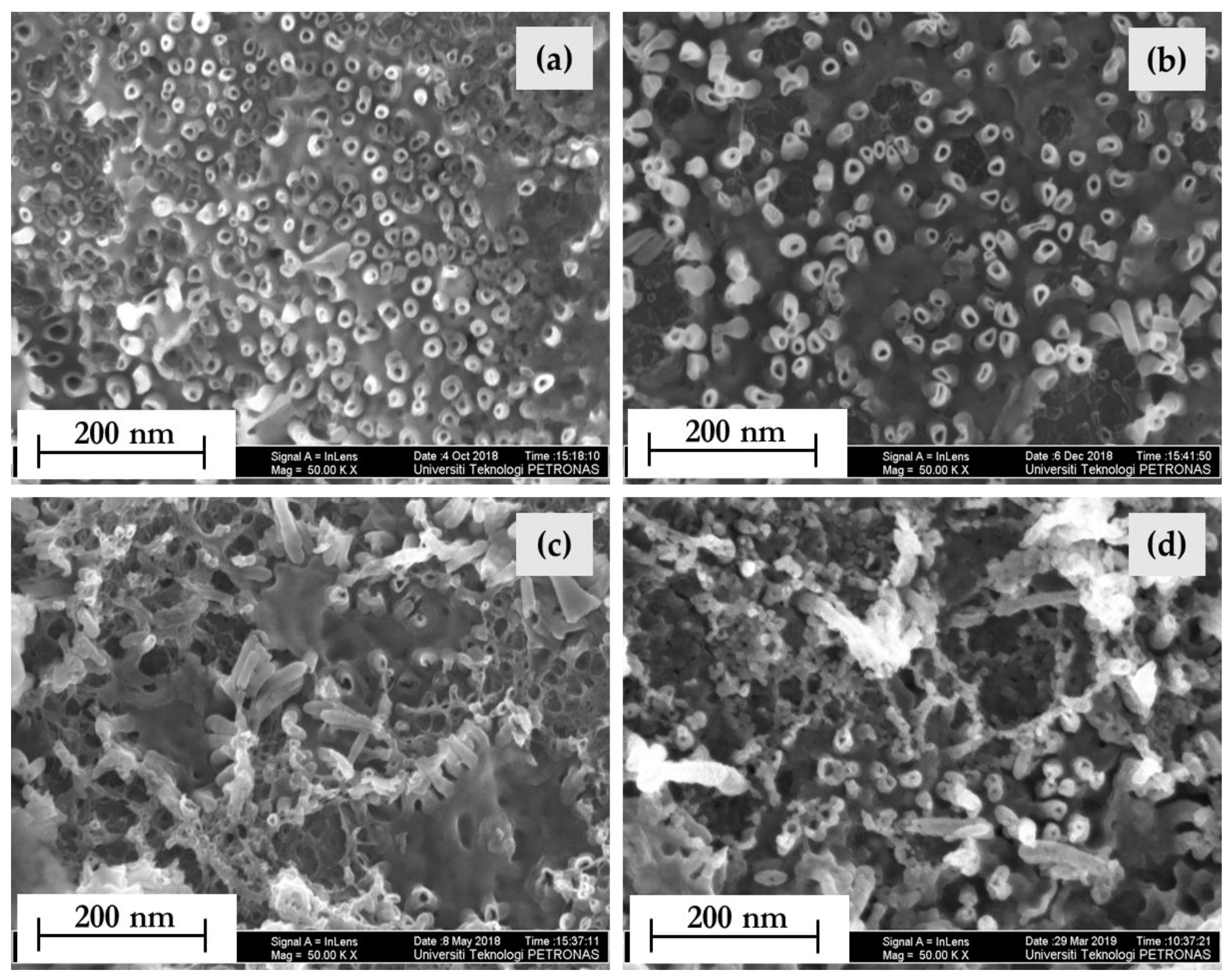 Nanomaterials 10 00128 g004 Nanomaterials 10 00128 g004
