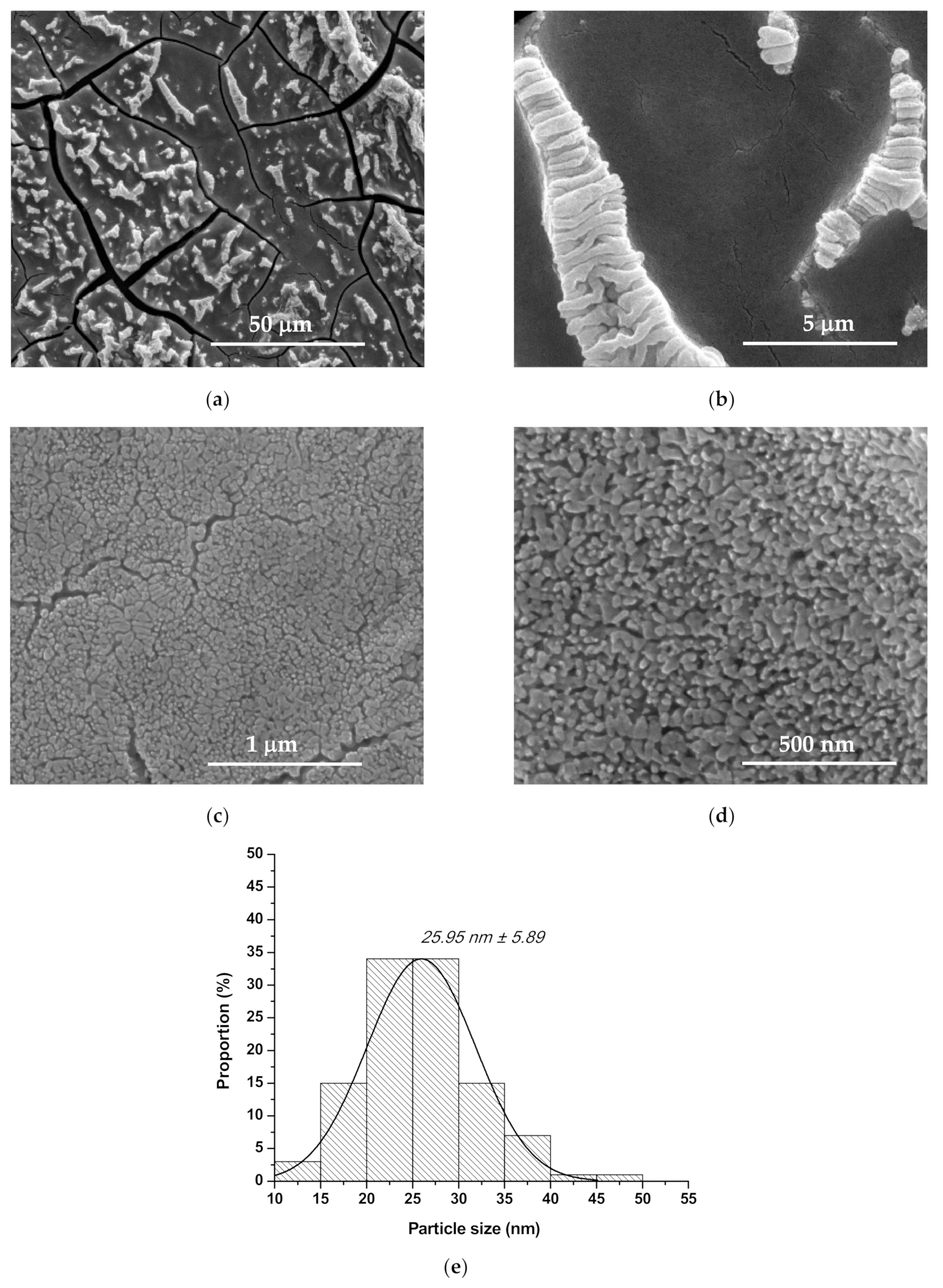 Nanomaterials 10 00129 g003