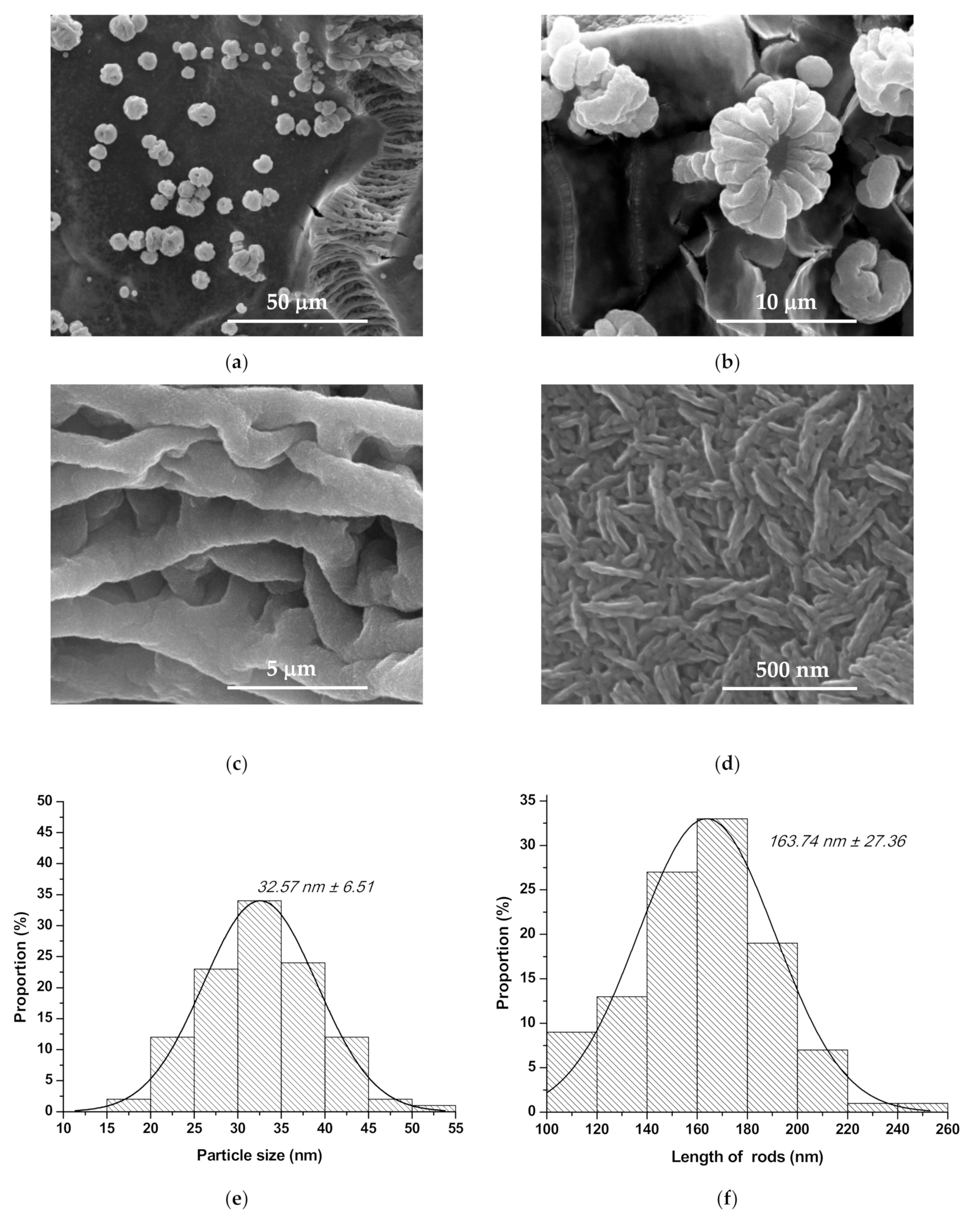Nanomaterials 10 00129 g004