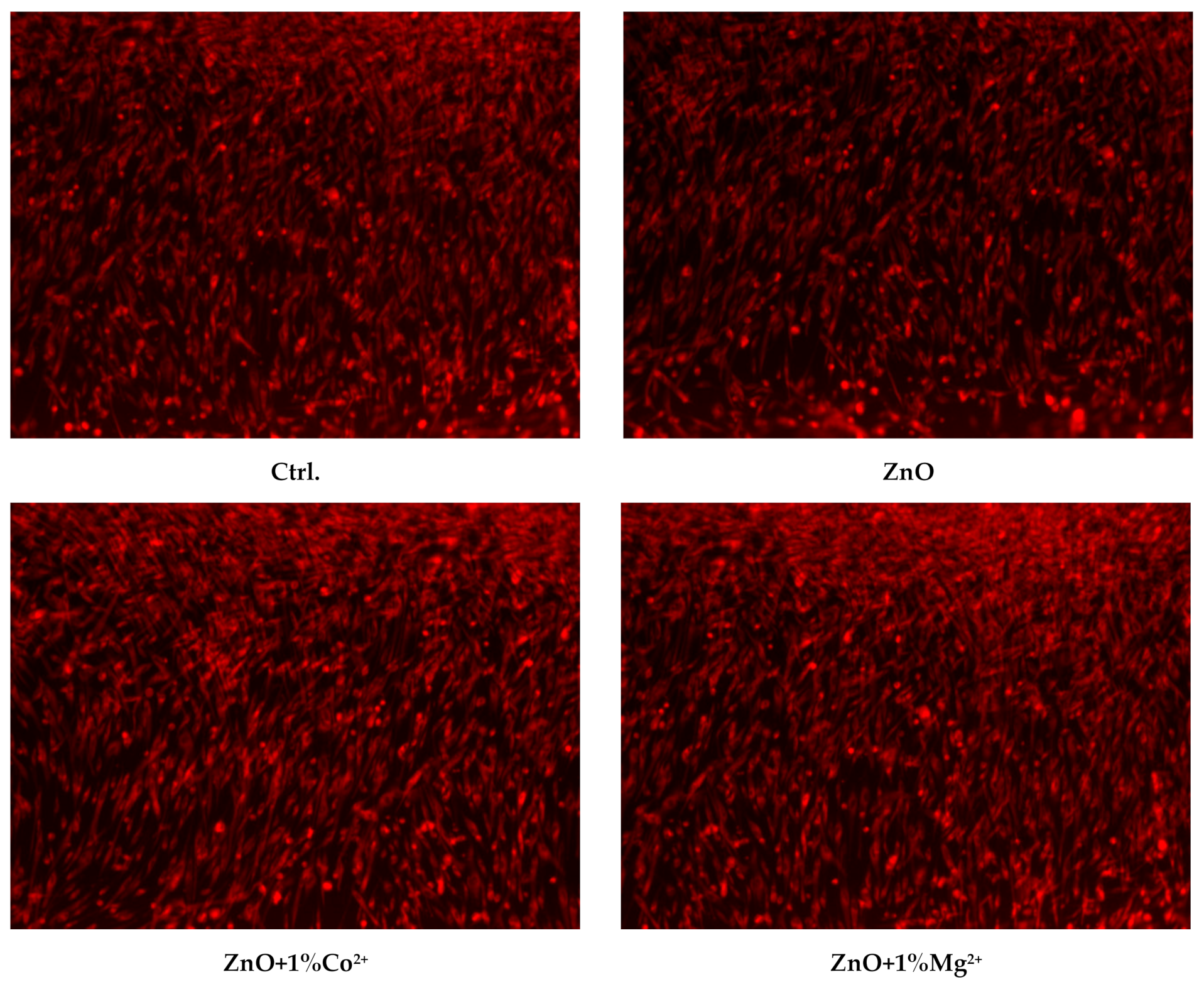 Nanomaterials 10 00129 g009