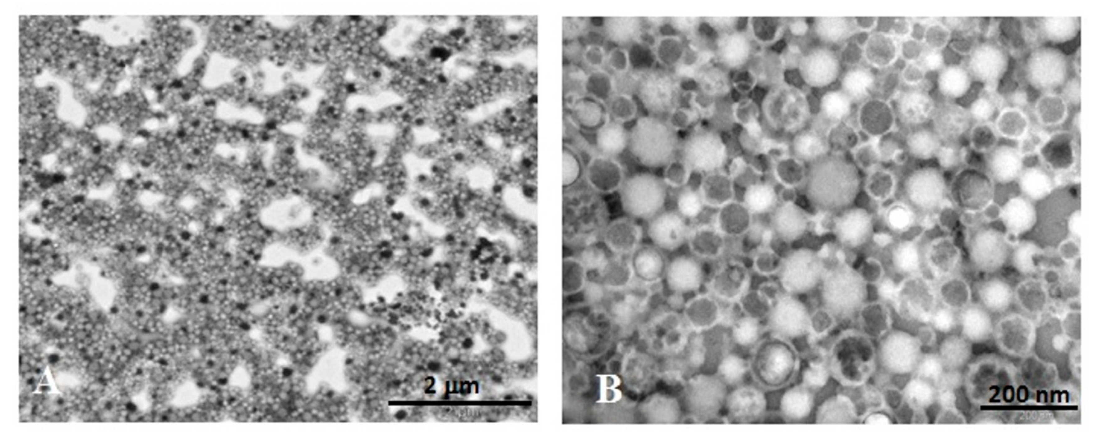 Nanomaterials Free Full Text Indocyanine Green Loaded