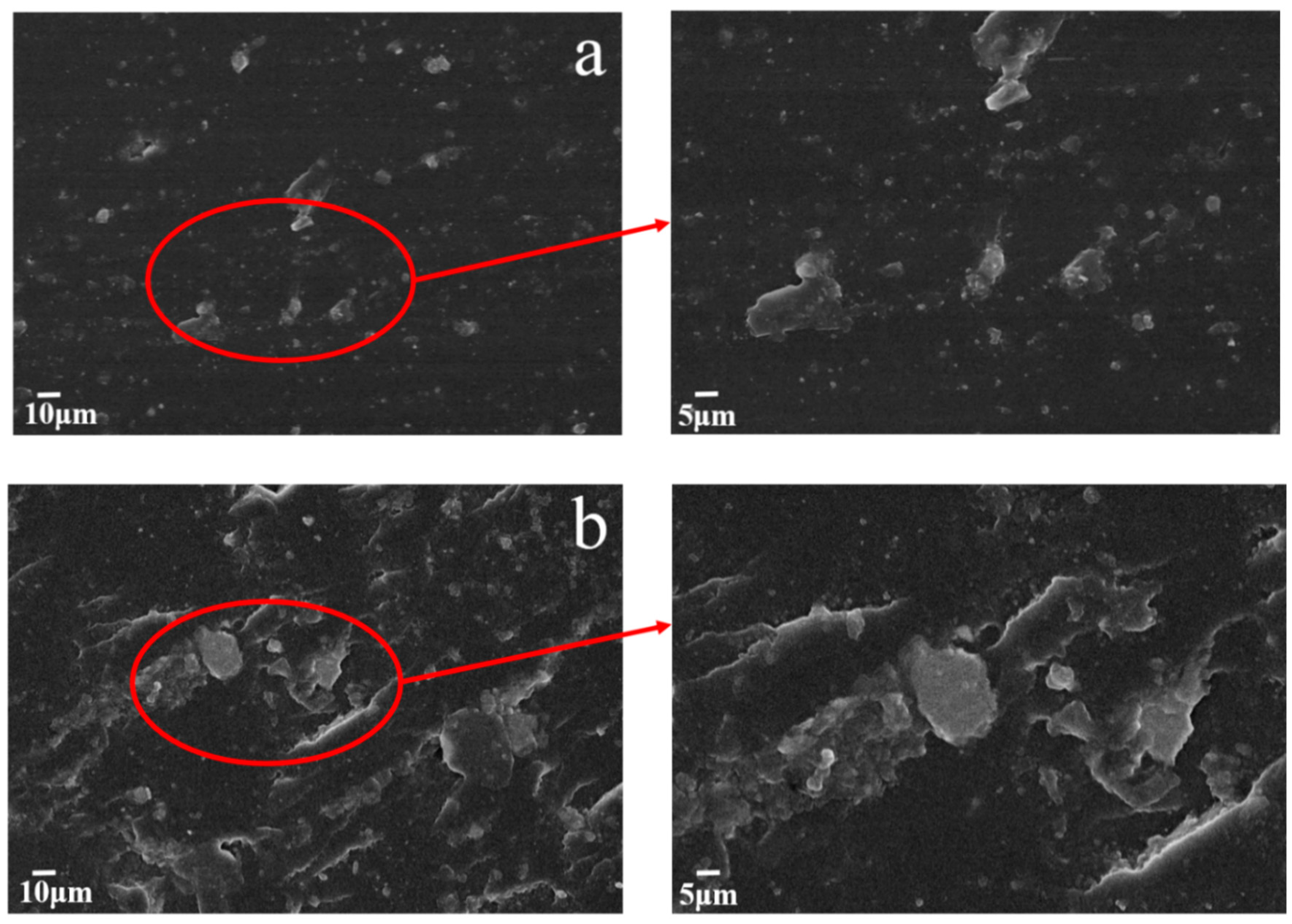 Nanomaterials 10 00137 g005