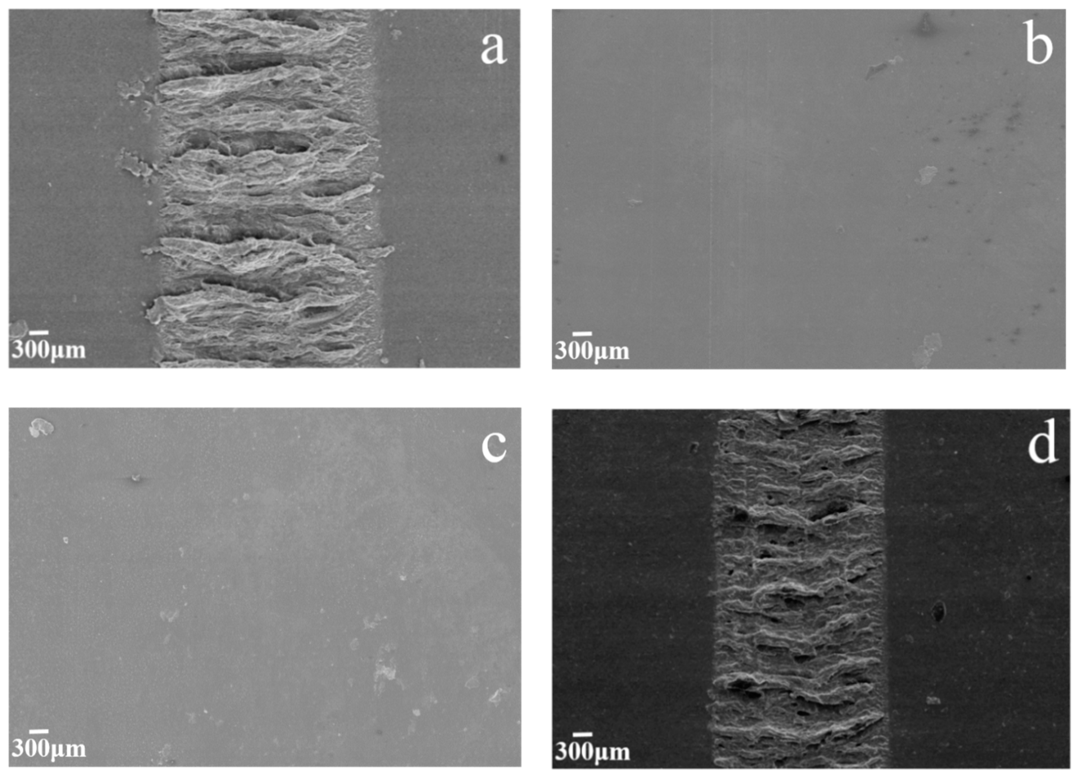 Nanomaterials 10 00137 g006