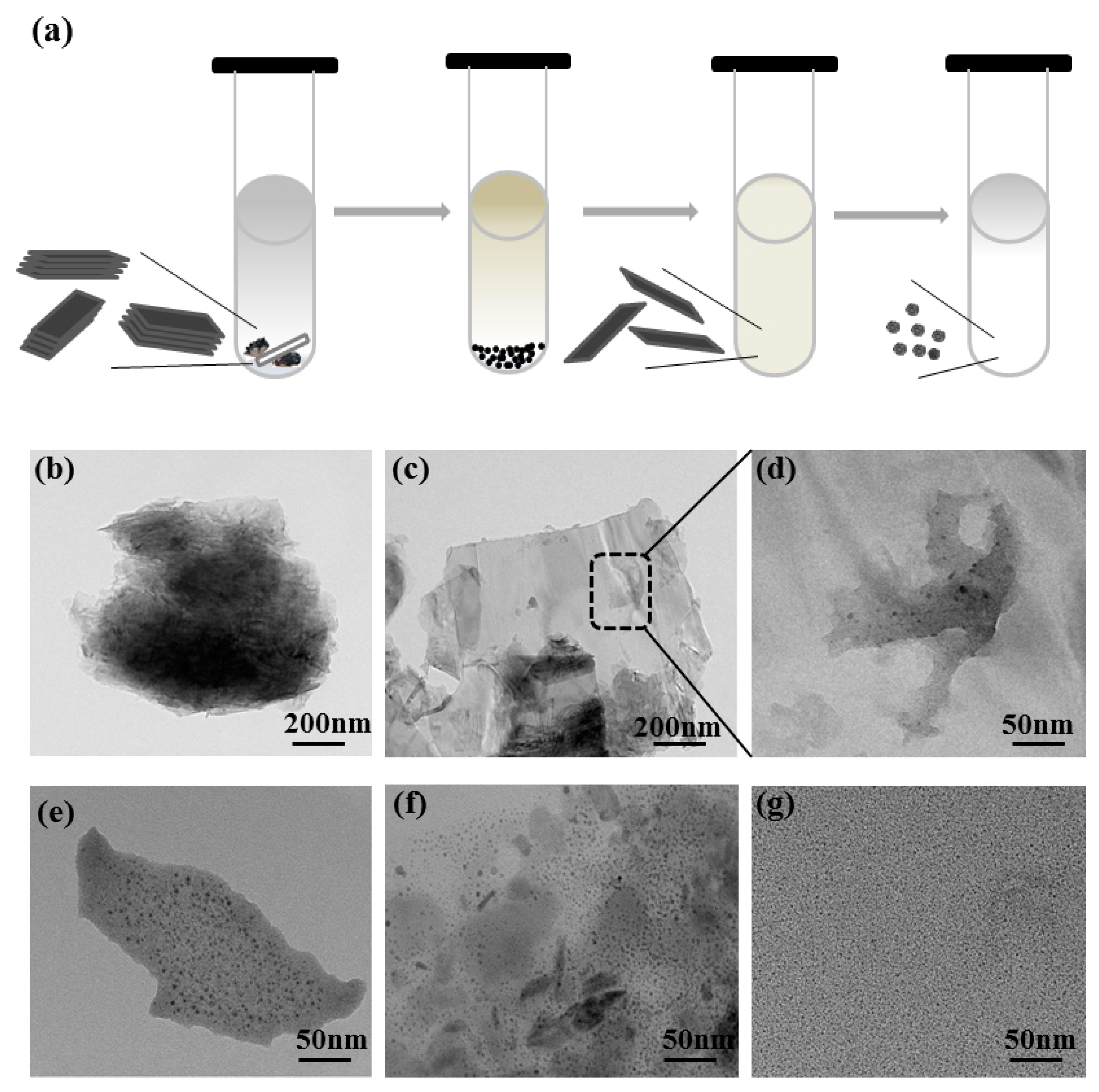 Nanomaterials 10 00139 g002