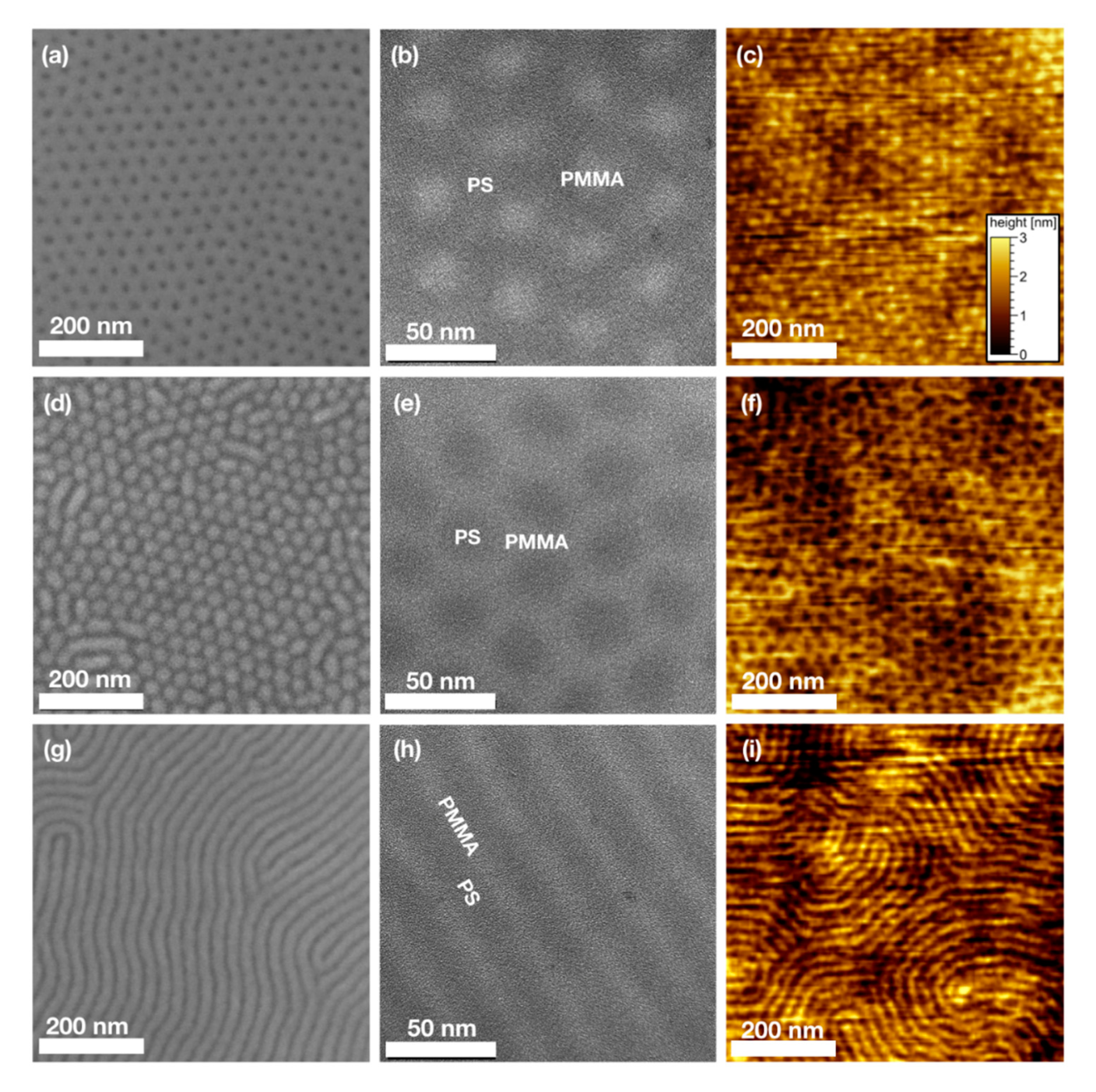 Nanomaterials 10 00141 g001