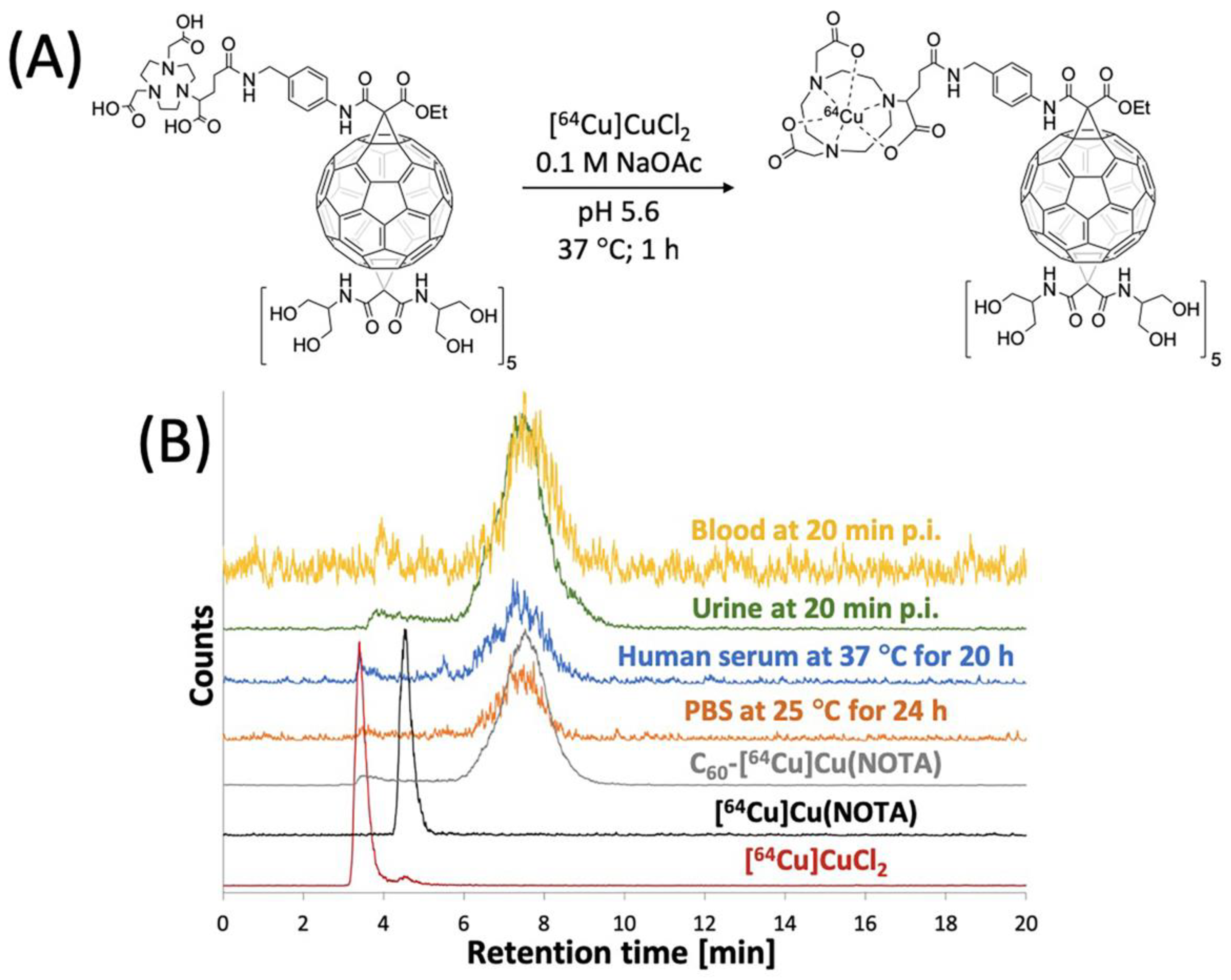 Nanomaterials 10 00143 g004