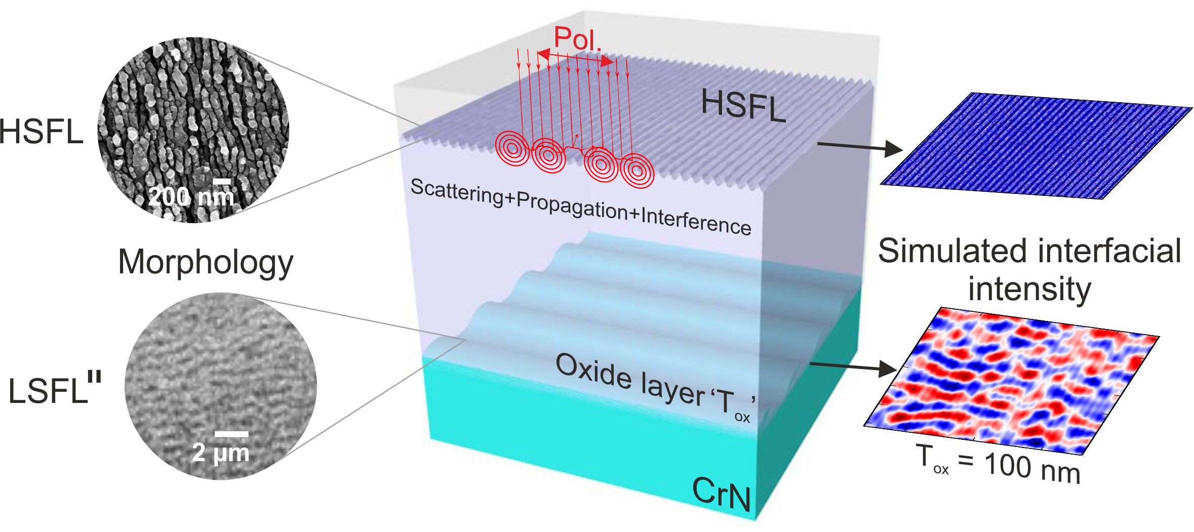 Nanomaterials Free FullText The Role of the LaserInduced Oxide