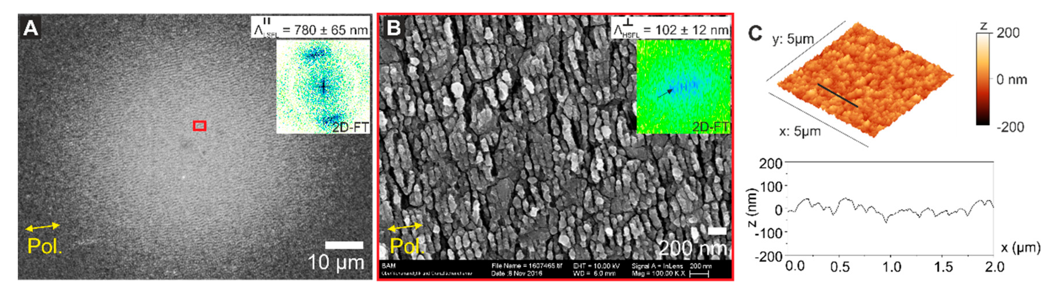 Nanomaterials 10 00147 g005