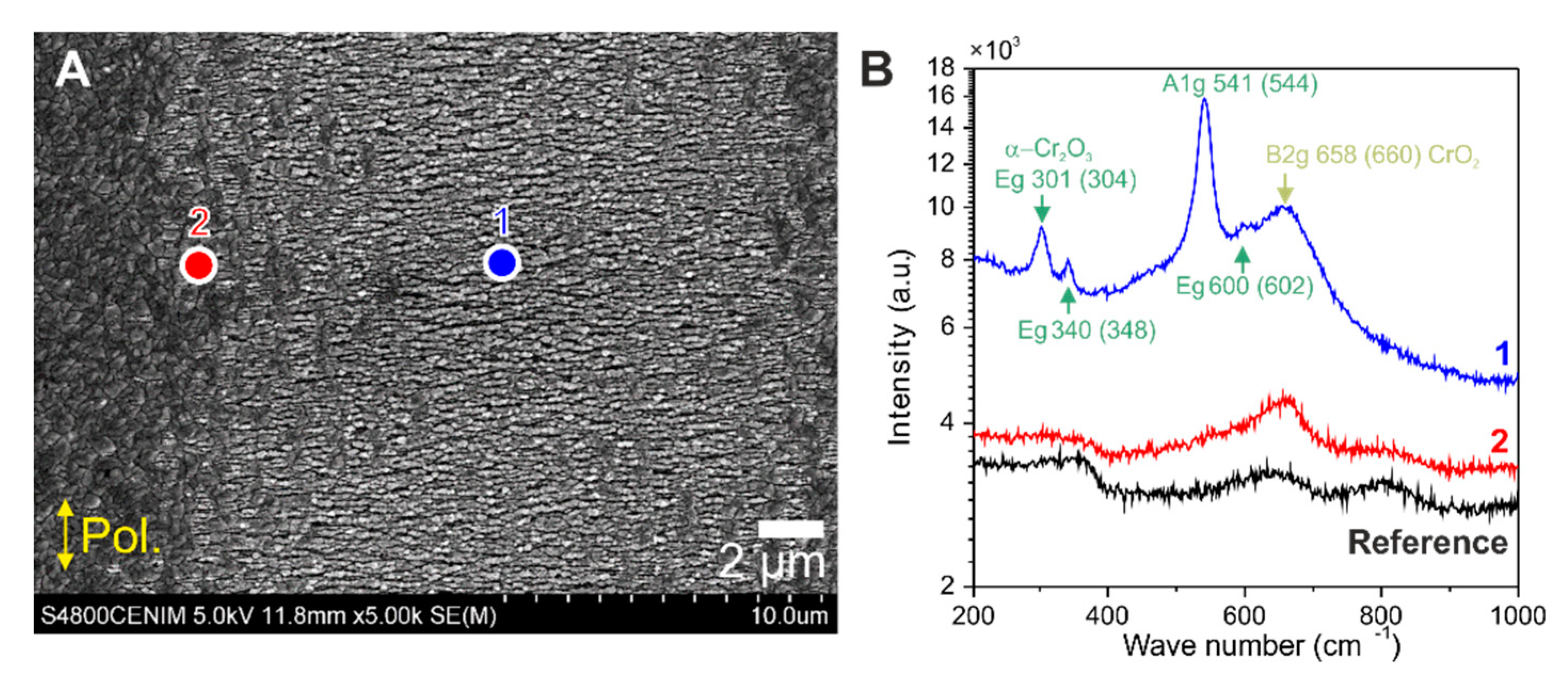 Nanomaterials 10 00147 g007