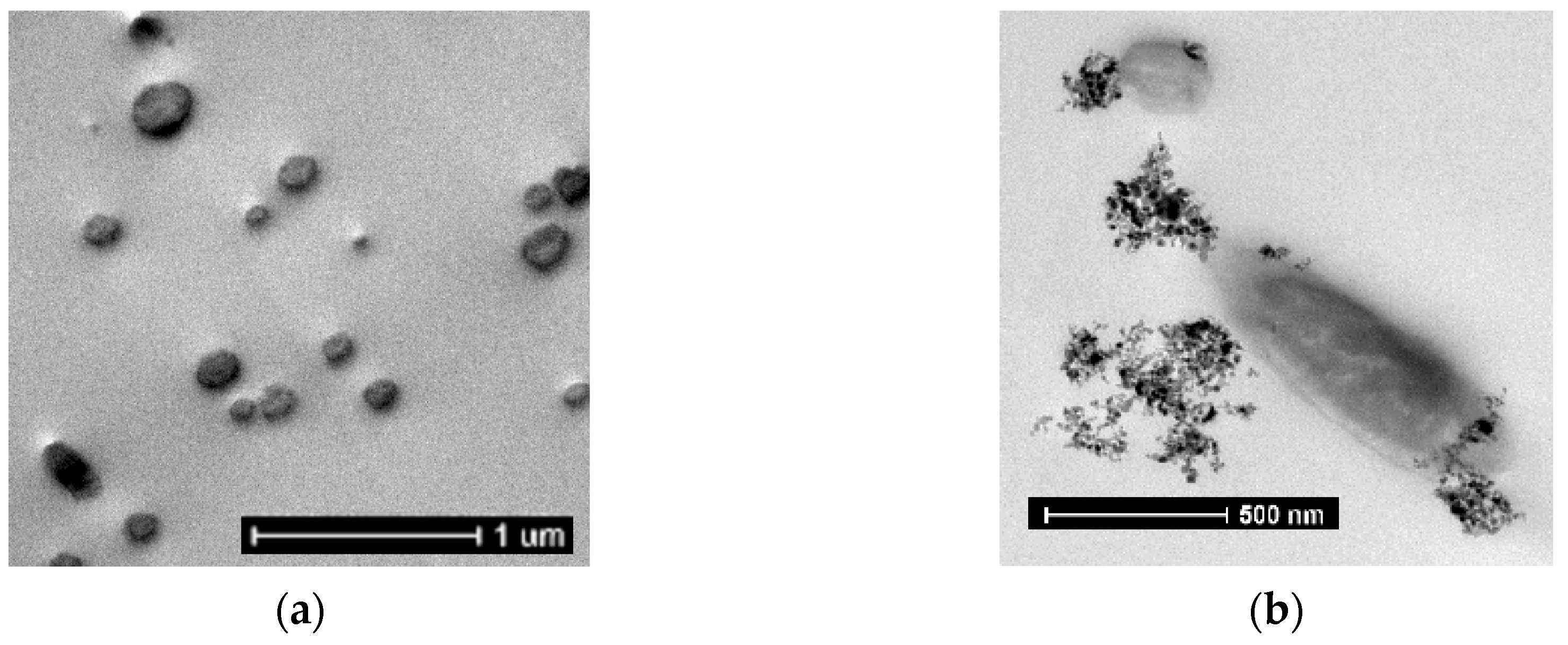 Nanomaterials 10 00148 g004 Nanomaterials 10 00148 g004