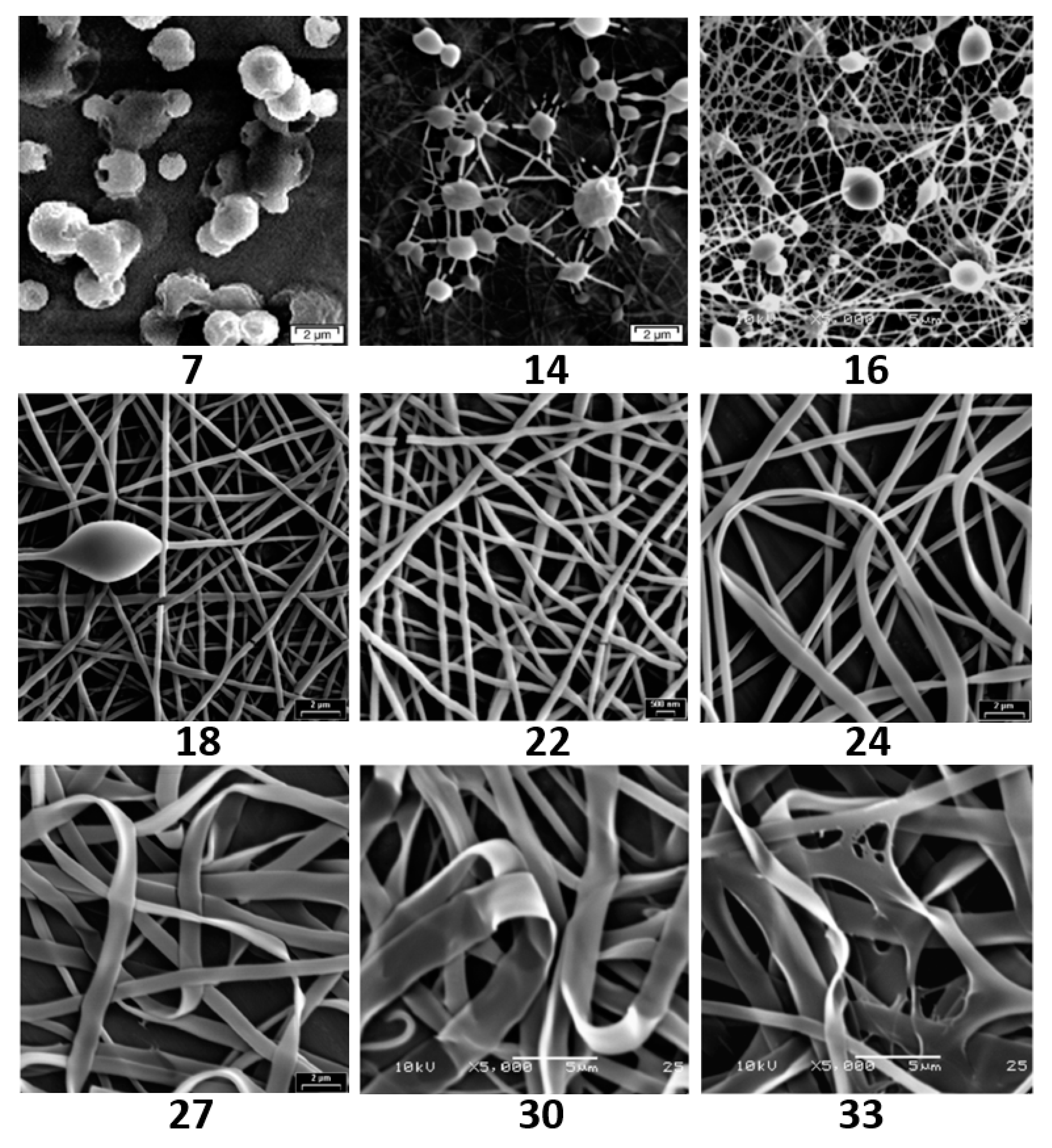 Nanomaterials 10 00150 g002 Nanomaterials 10 00150 g002