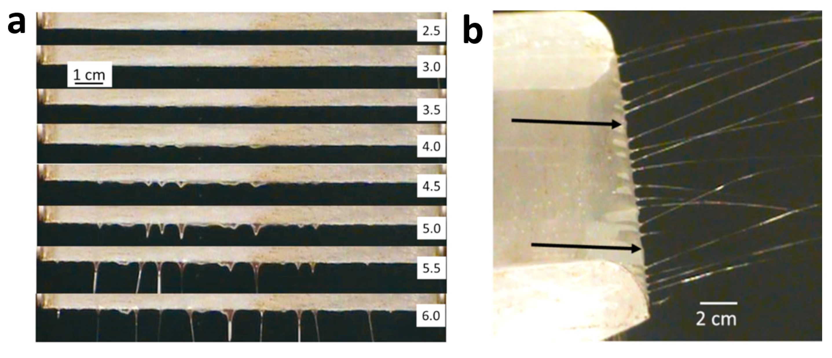 Nanomaterials 10 00150 g004 Nanomaterials 10 00150 g004