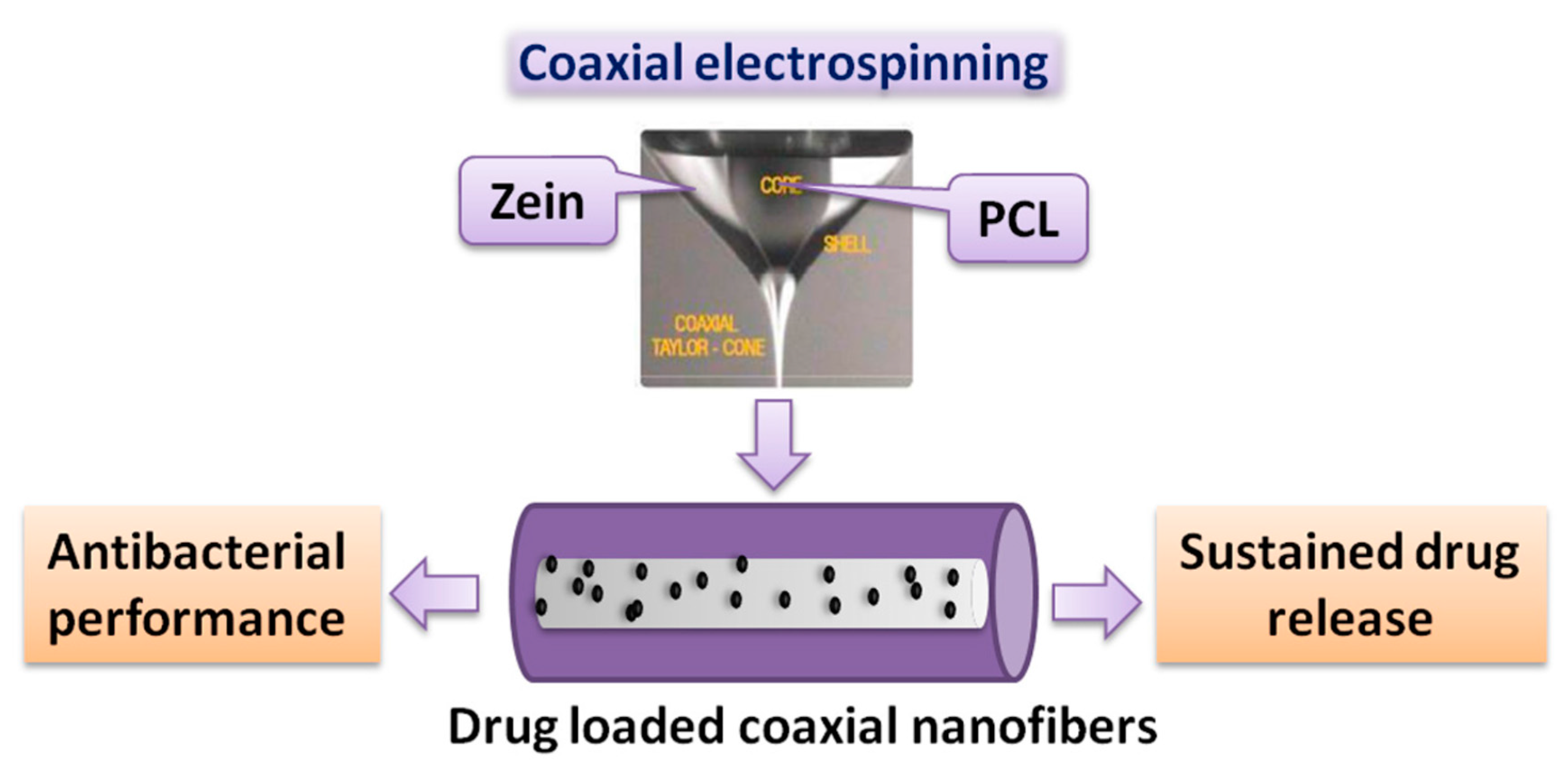 Nanomaterials 10 00150 g006 Nanomaterials 10 00150 g006