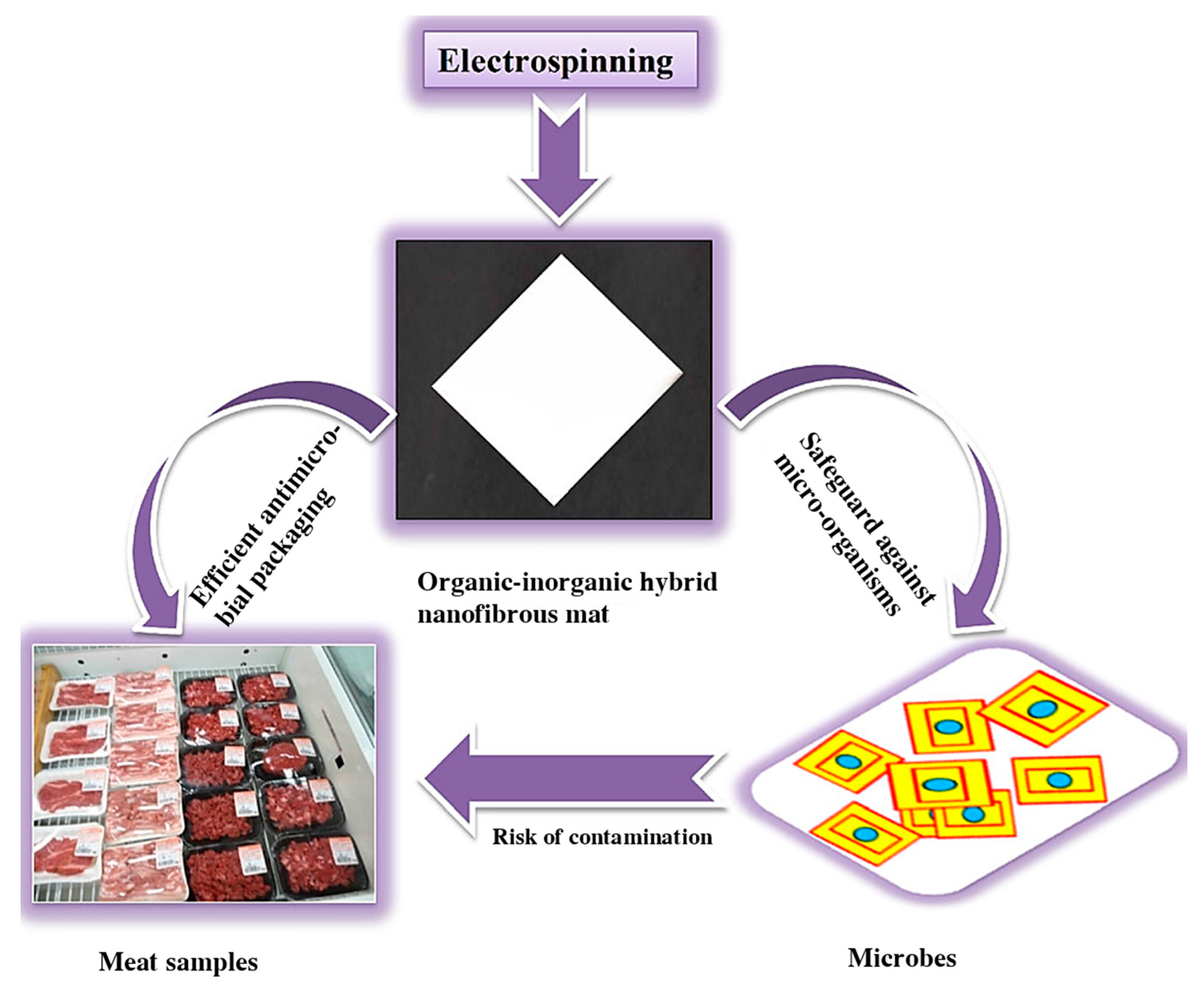 Nanomaterials 10 00150 g008 Nanomaterials 10 00150 g008