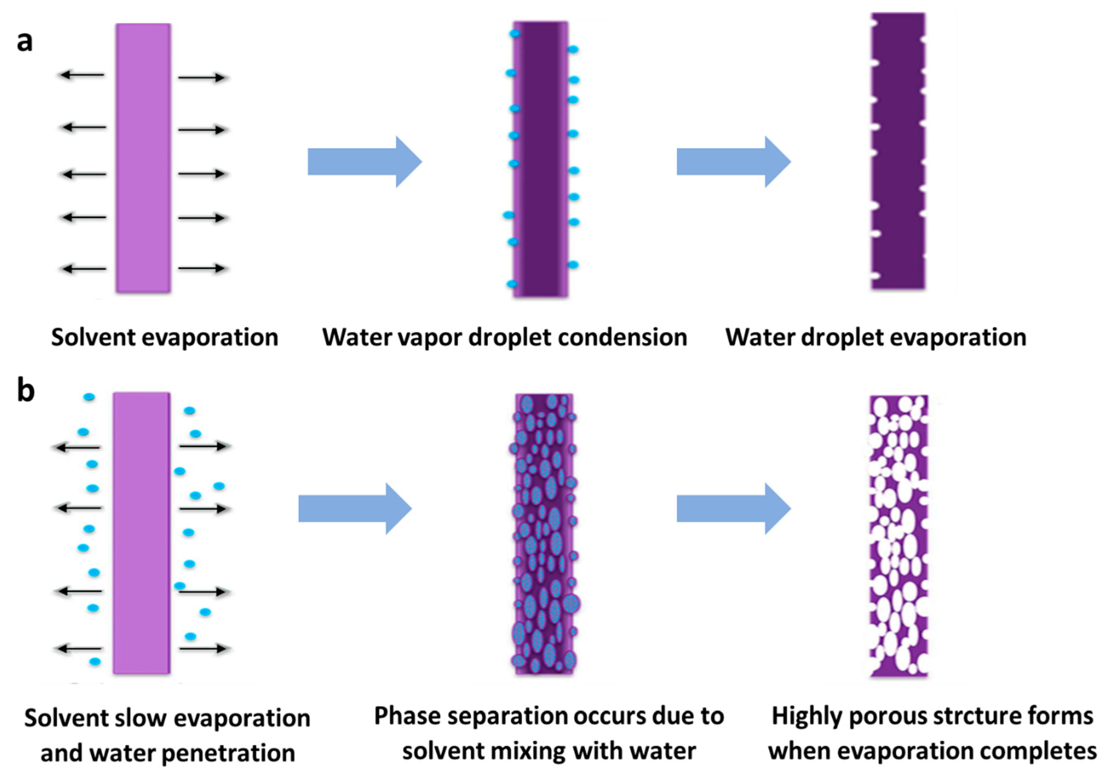Nanomaterials 10 00150 g010 Nanomaterials 10 00150 g010
