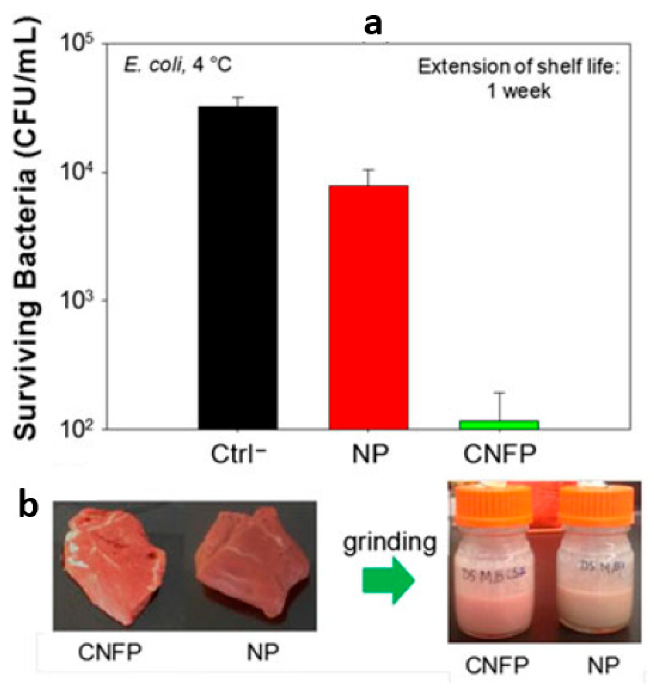 Nanomaterials 10 00150 g015 Nanomaterials 10 00150 g015