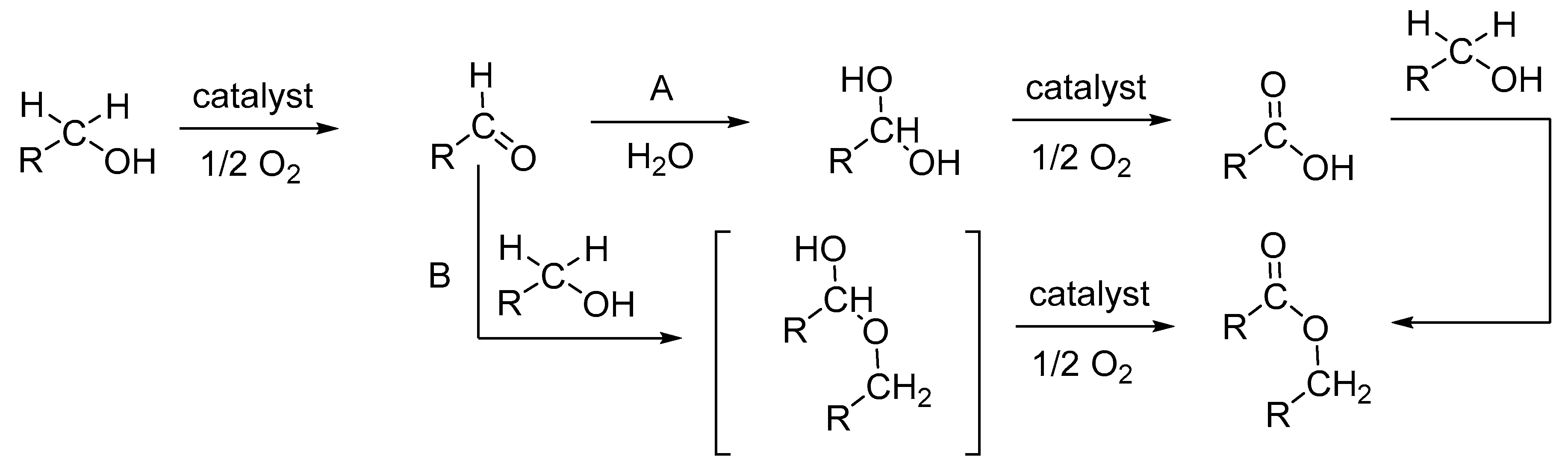 Nanomaterials 10 00151 sch002