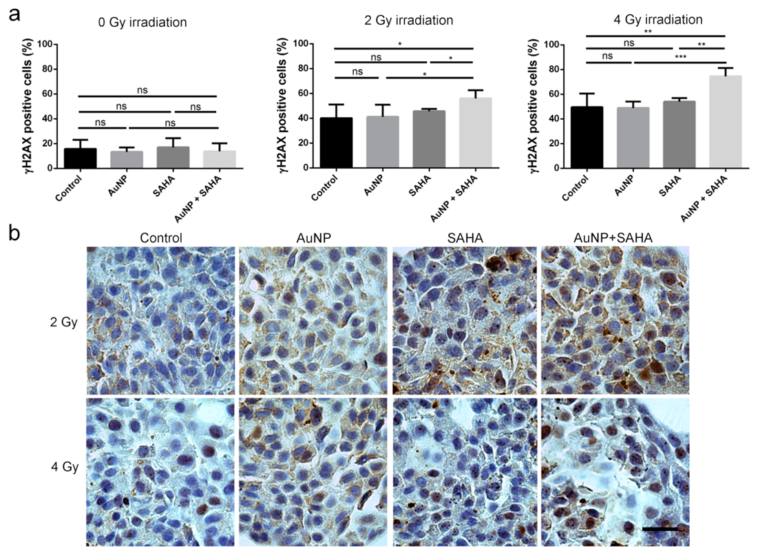 Nanomaterials 10 00158 g009 Nanomaterials 10 00158 g009