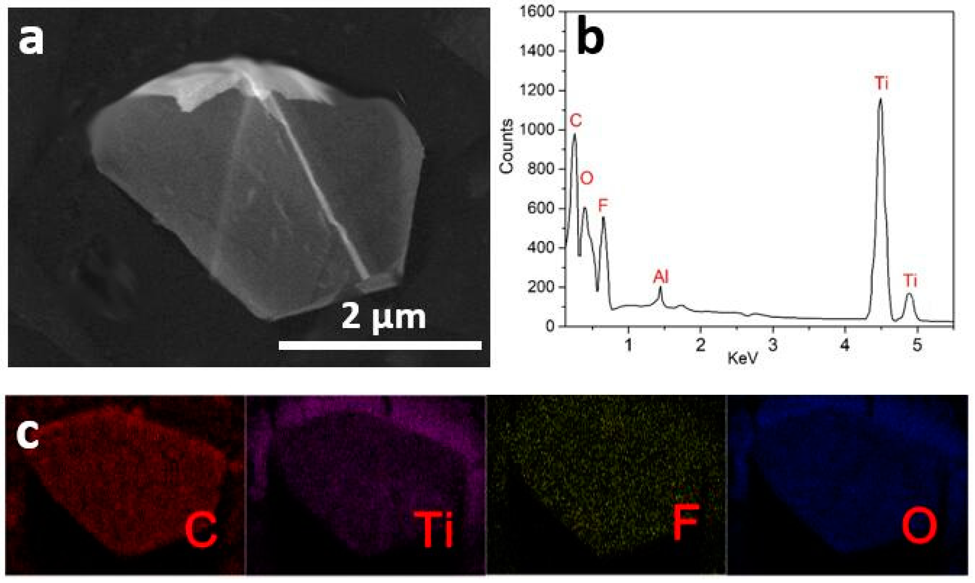 Nanomaterials 10 00162 g003