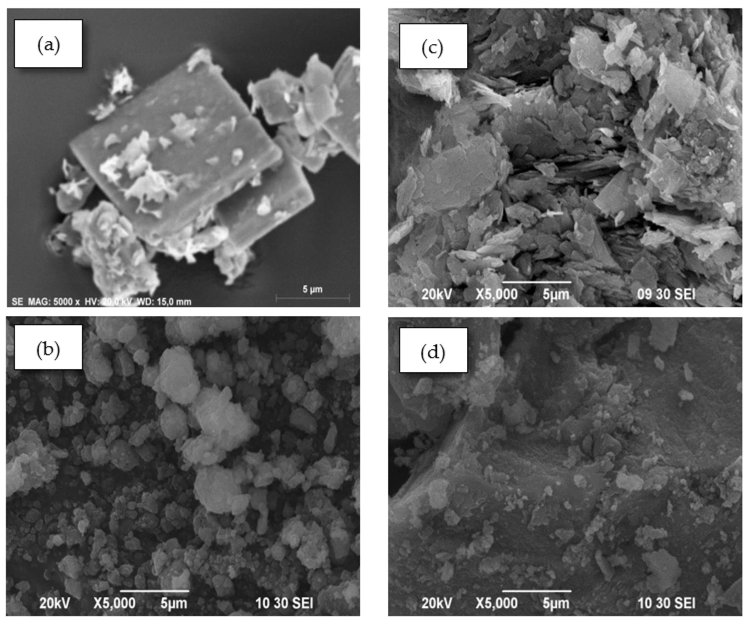 Nanomaterials 10 00163 g006
