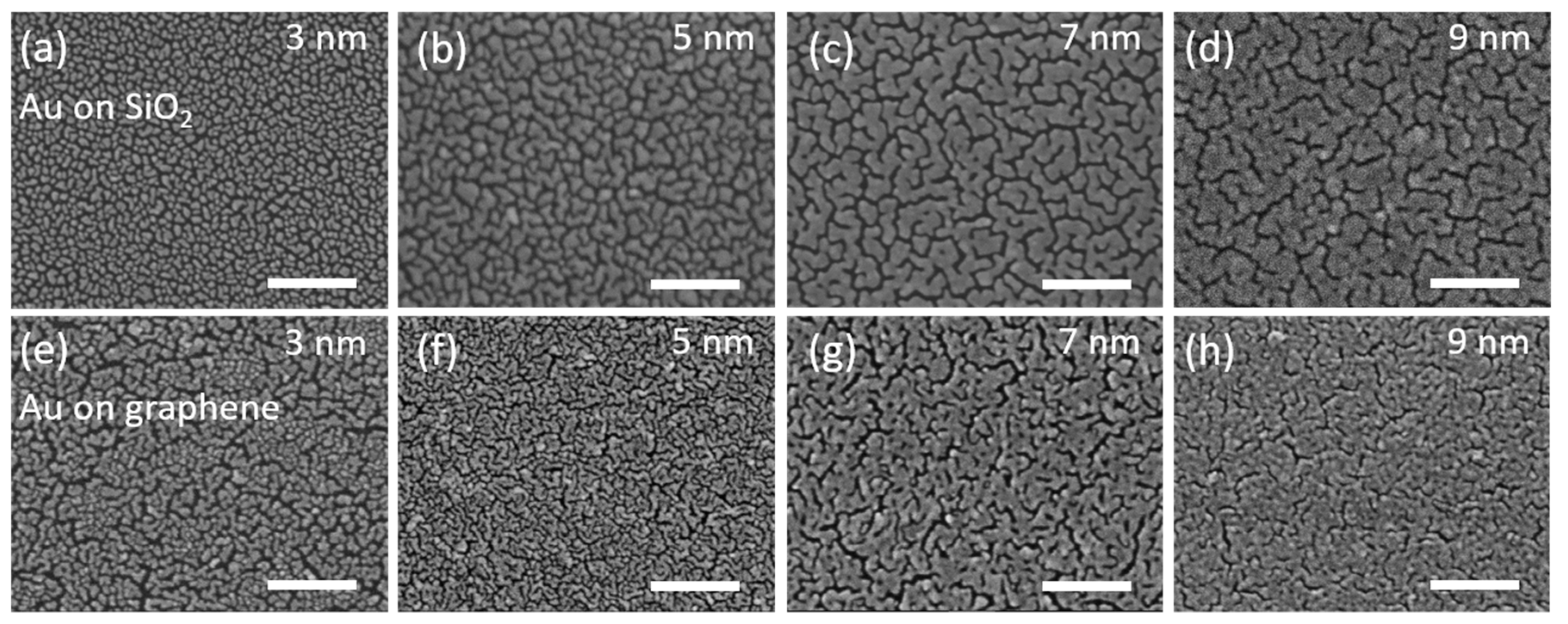 Nanomaterials 10 00164 g002