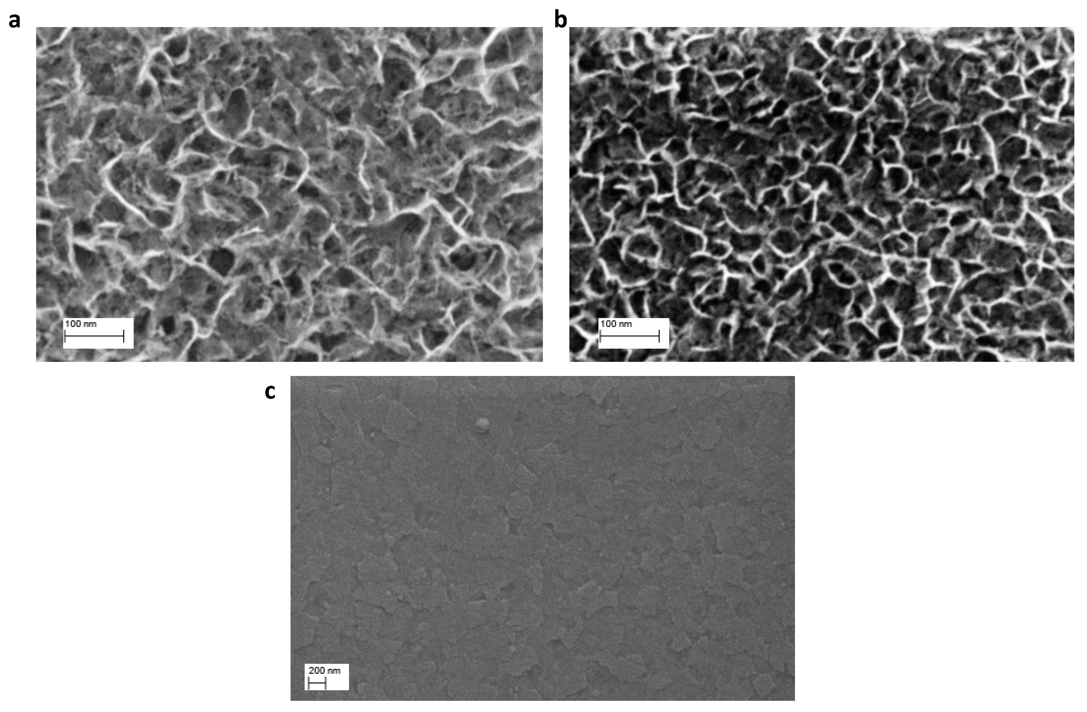 Nanomaterials 10 00167 g001