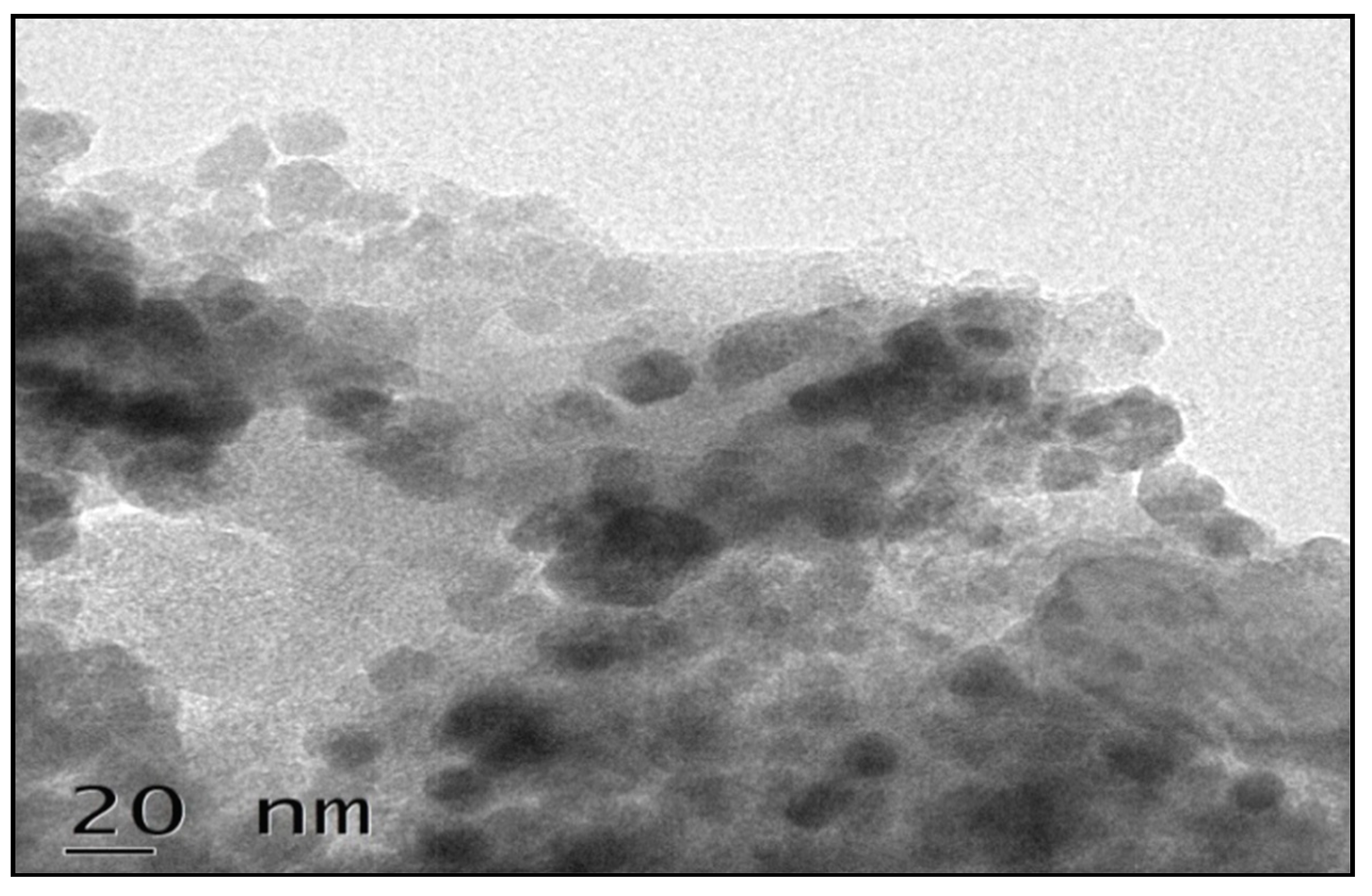 Nanomaterials 10 00170 g001