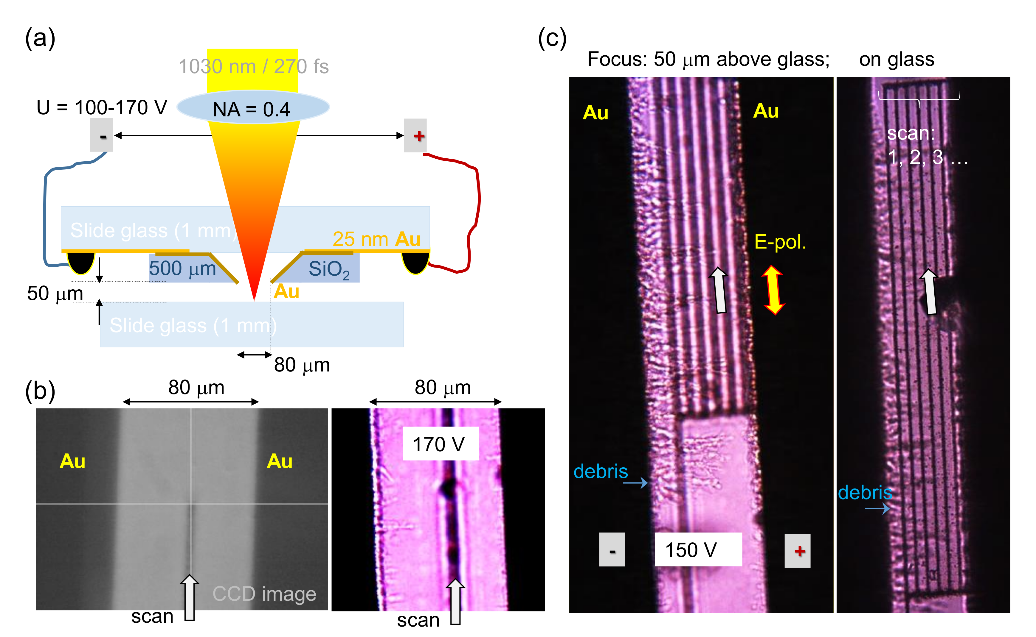 Nanomaterials 10 00182 g001