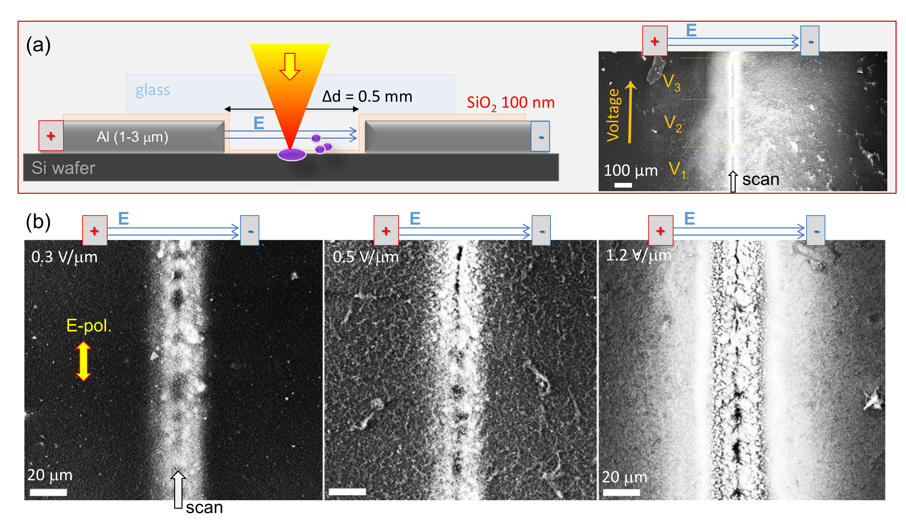 Nanomaterials 10 00182 g002