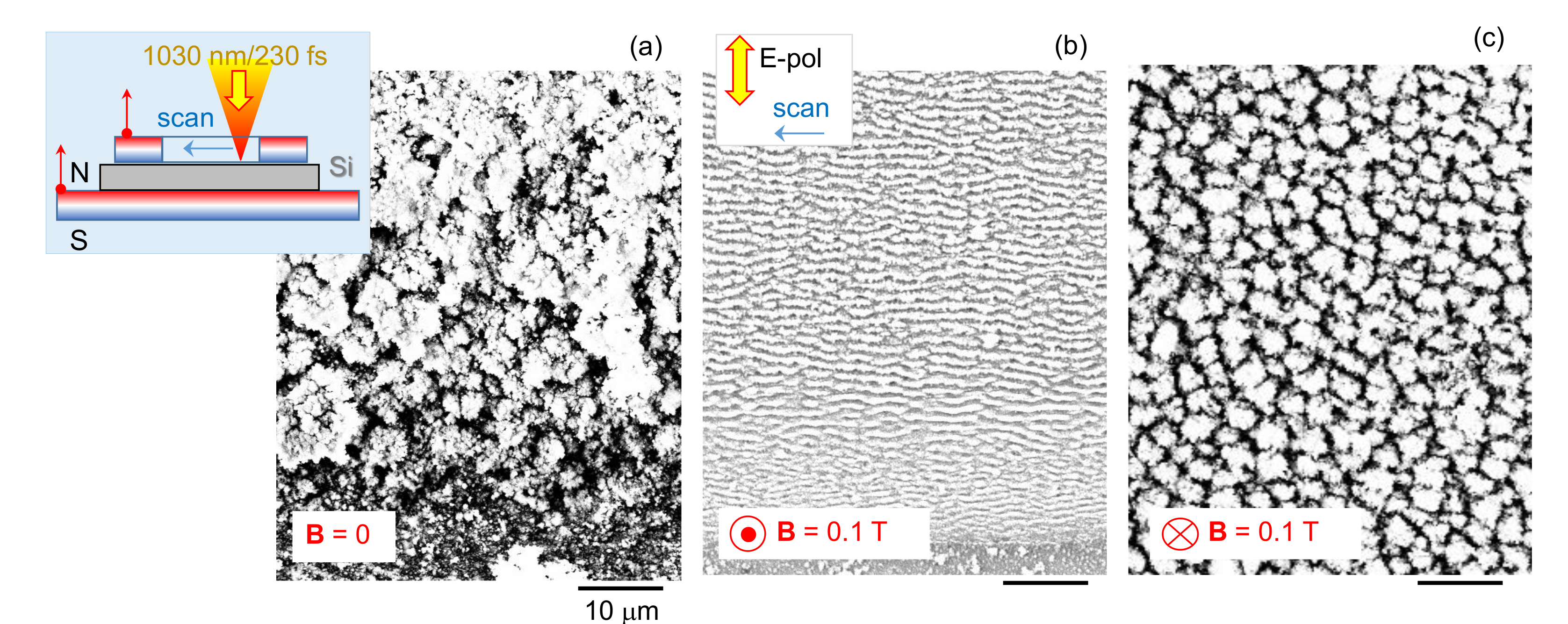 Nanomaterials 10 00182 g003