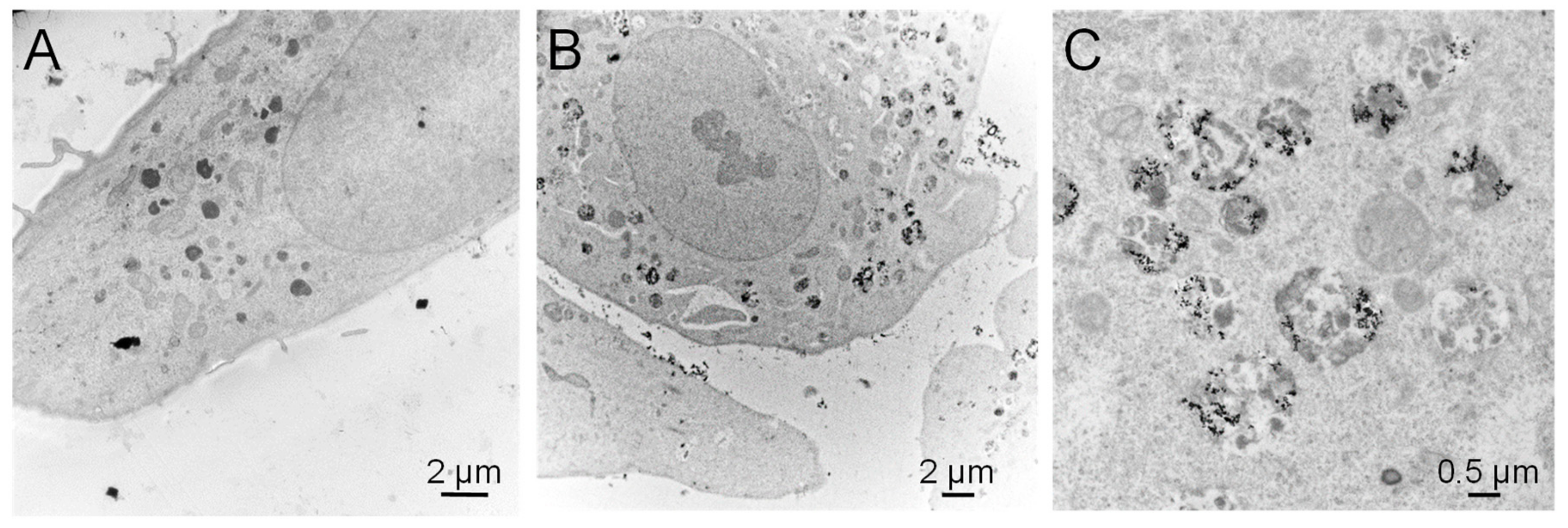 Nanomaterials 10 00185 g005 Nanomaterials 10 00185 g005