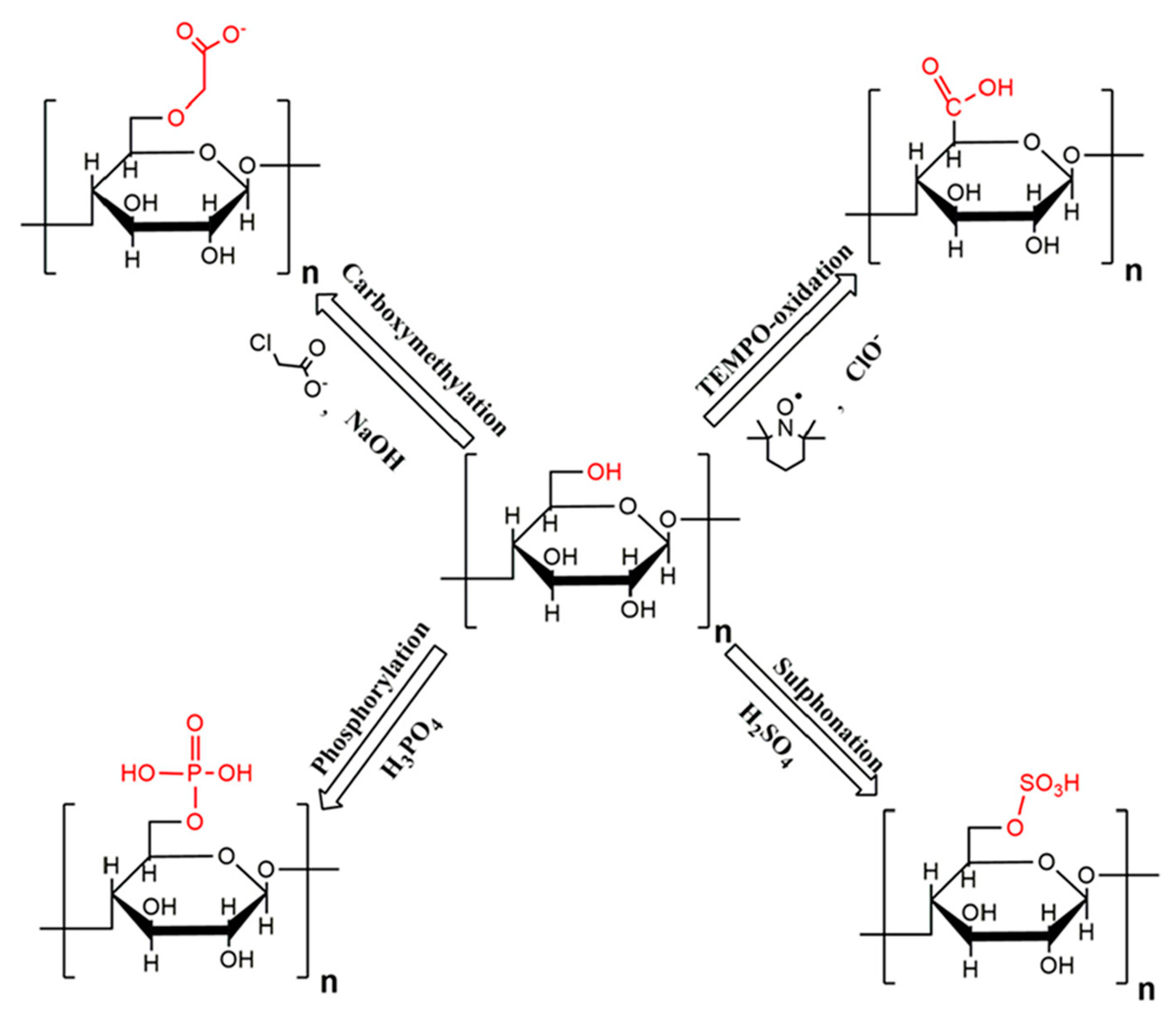 Nanomaterials 10 00186 g002