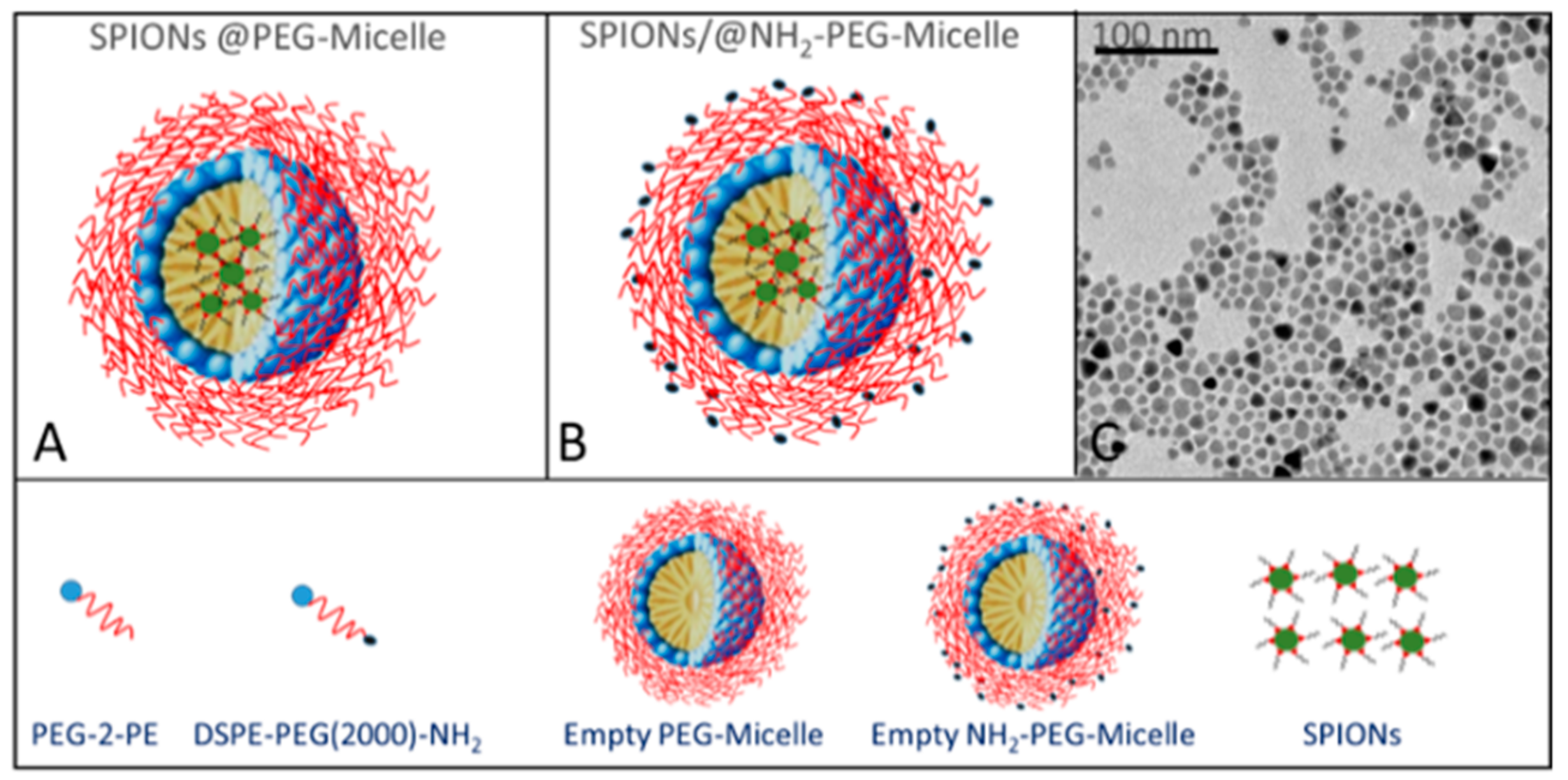 Nanomaterials 10 00187 g001