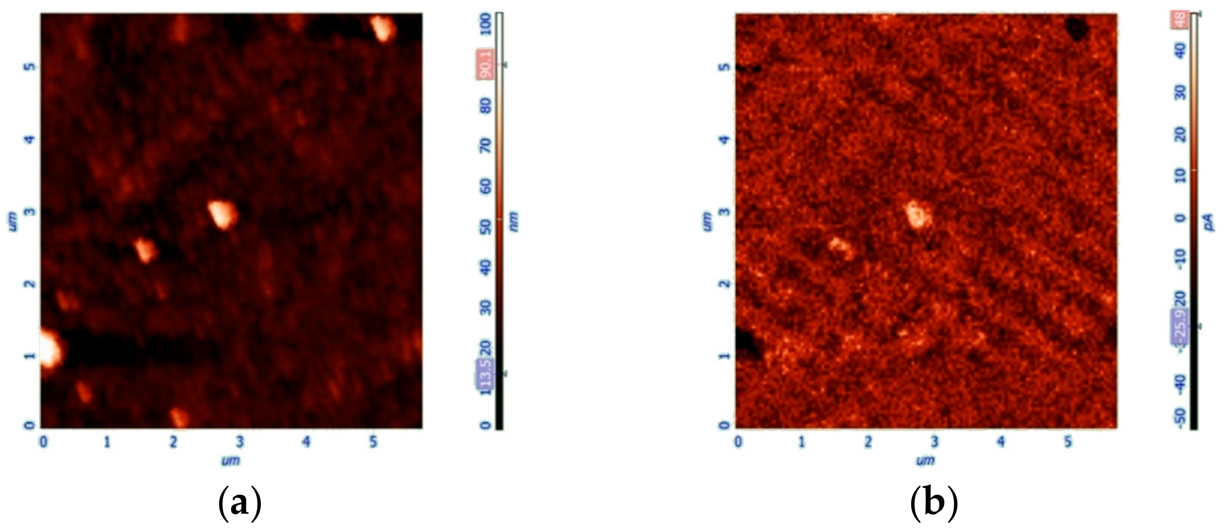 Nanomaterials 10 00187 g010