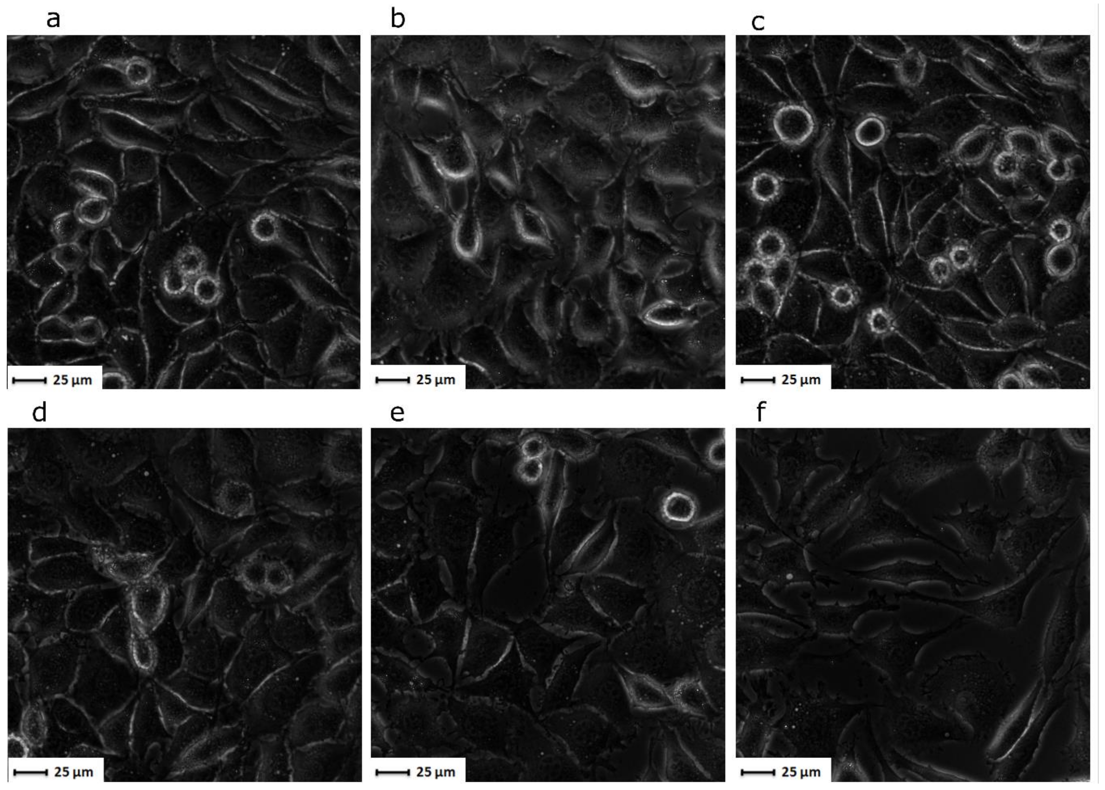 Nanomaterials 10 00195 g011