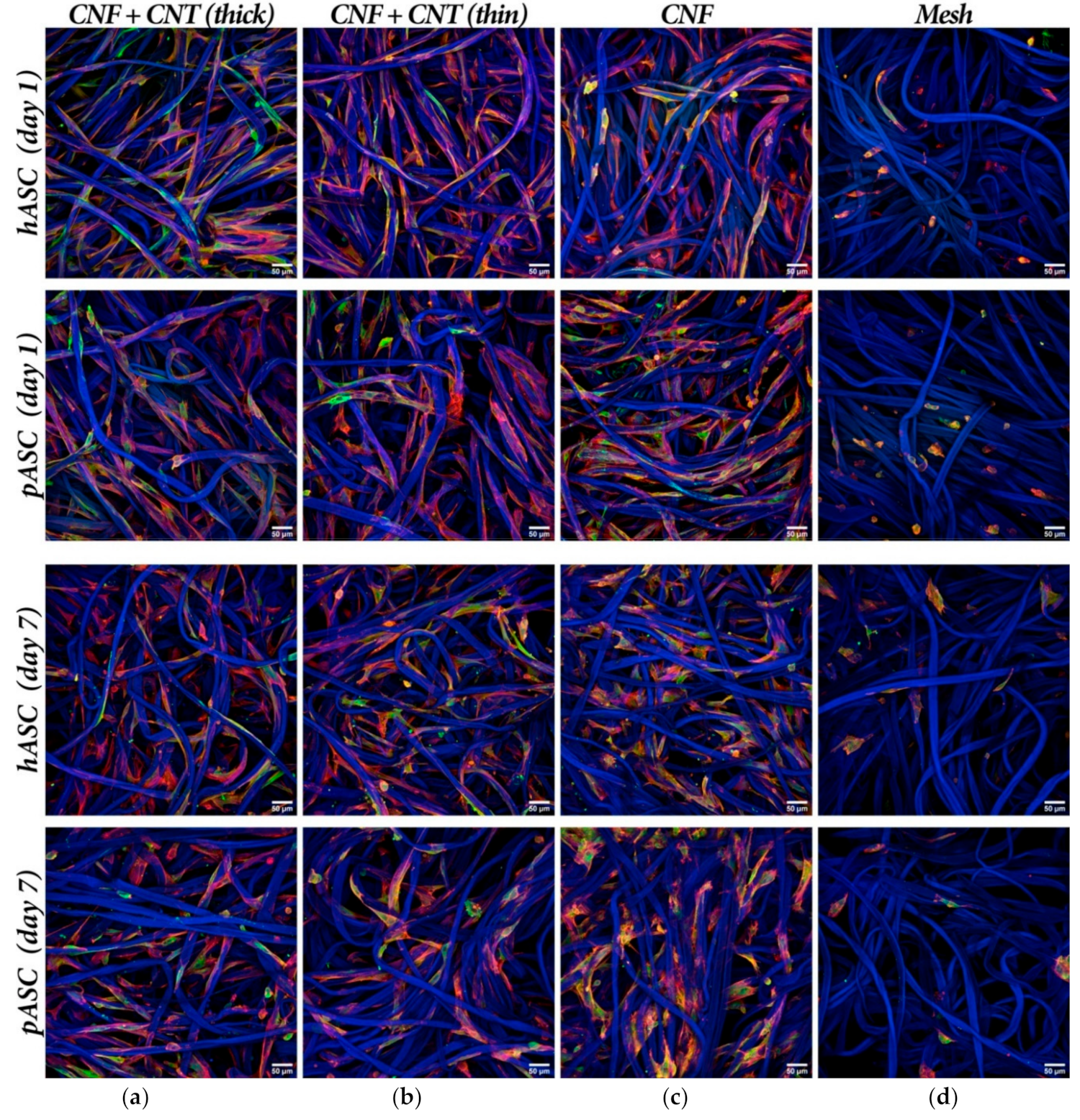 Nanomaterials 10 00196 g0a1 Nanomaterials 10 00196 g0a1