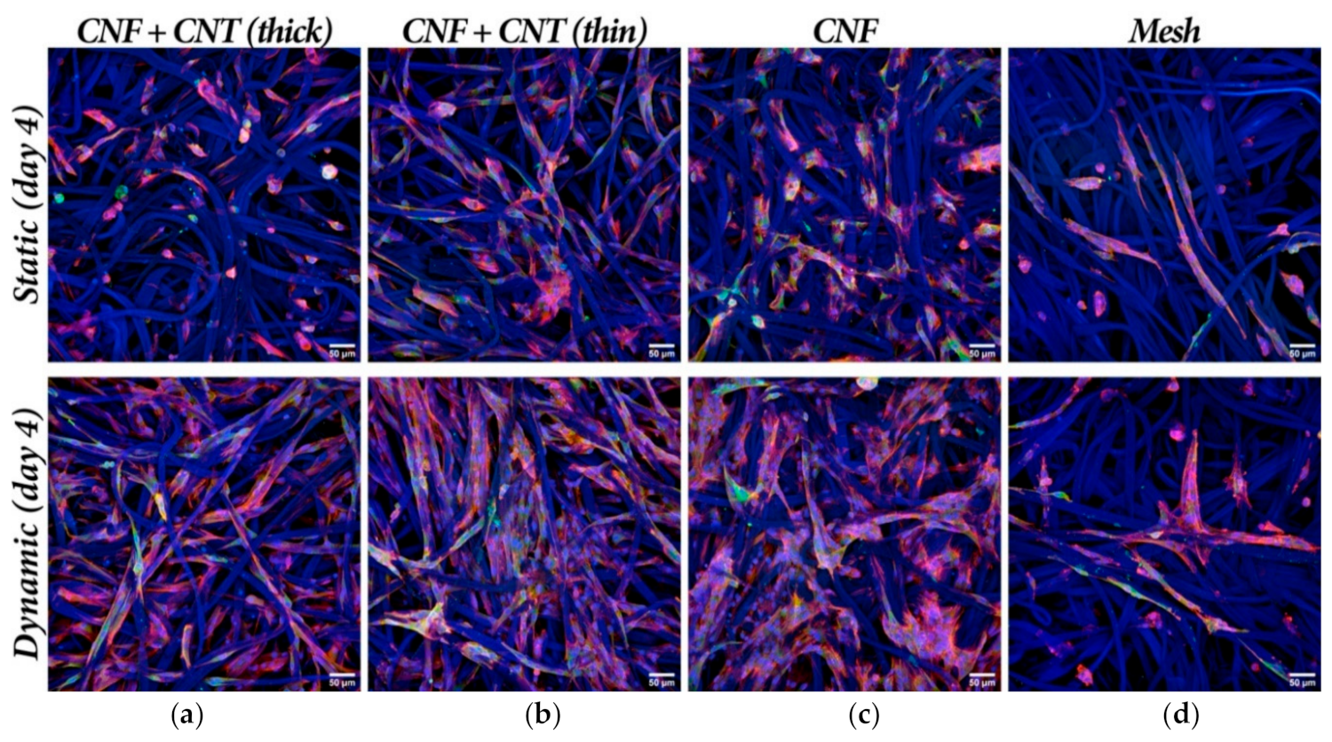 Nanomaterials 10 00196 g0a3 Nanomaterials 10 00196 g0a3