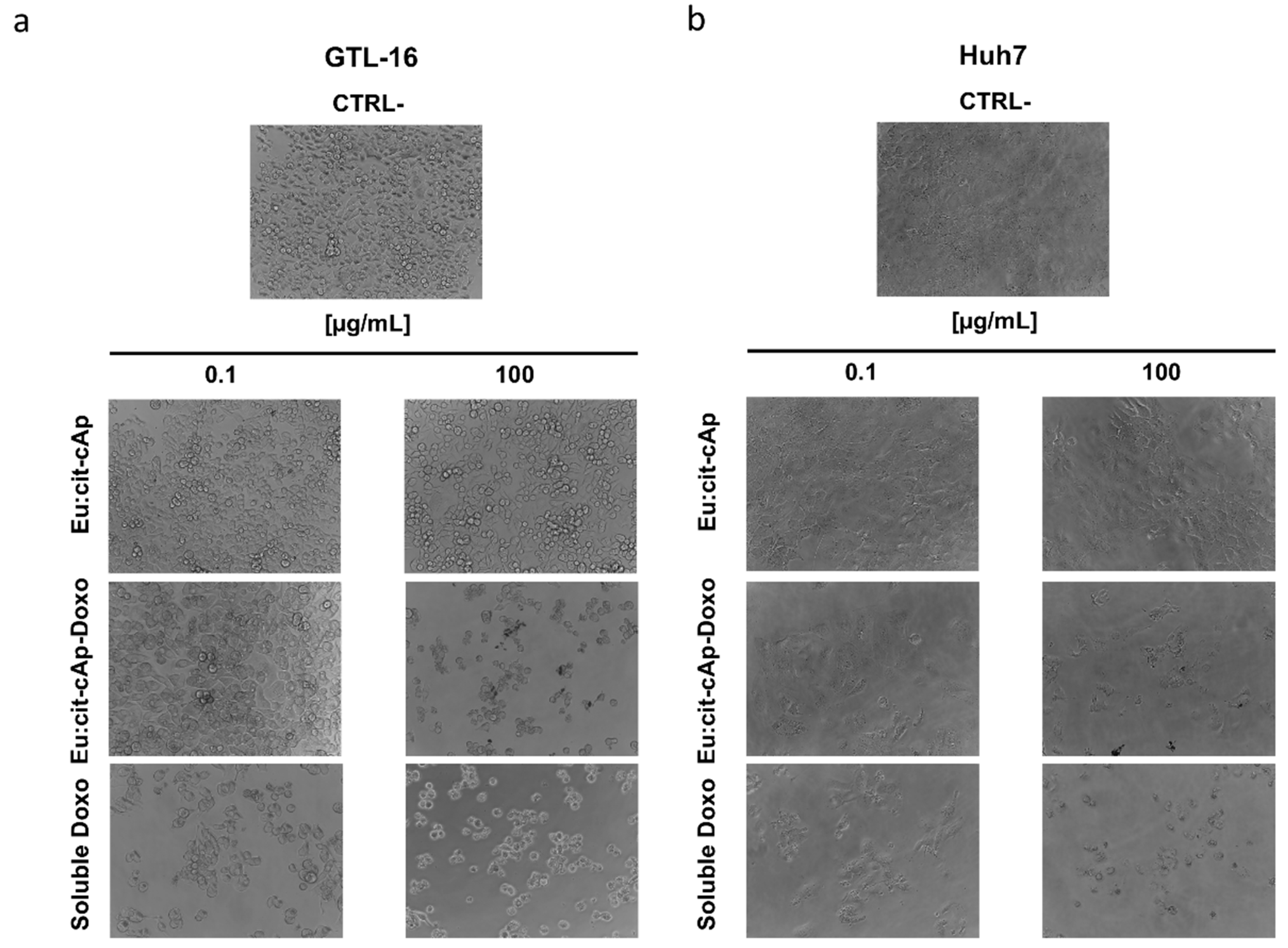 Nanomaterials 10 00199 g009 Nanomaterials 10 00199 g009