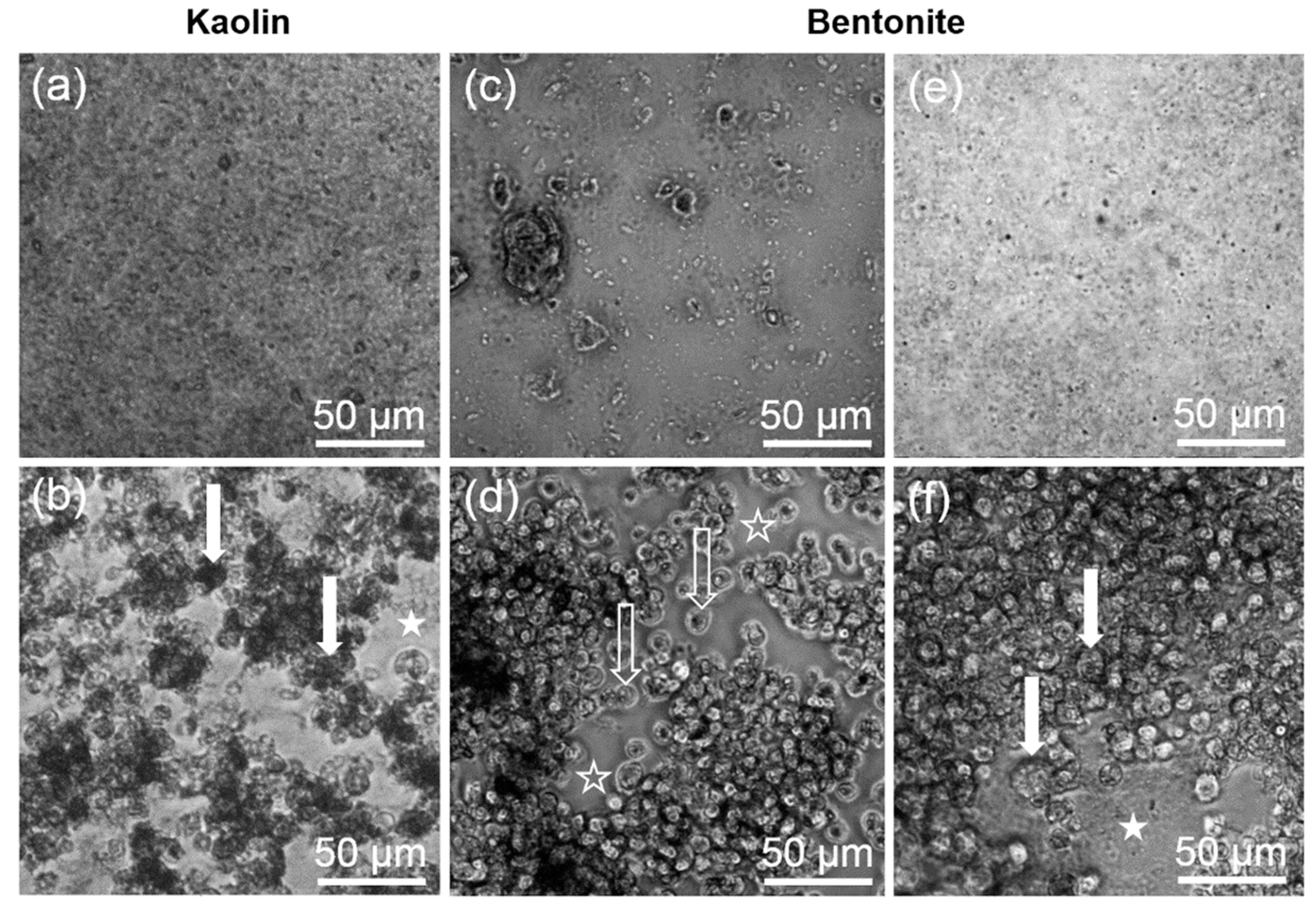 Nanomaterials 10 00204 g002 Nanomaterials 10 00204 g002